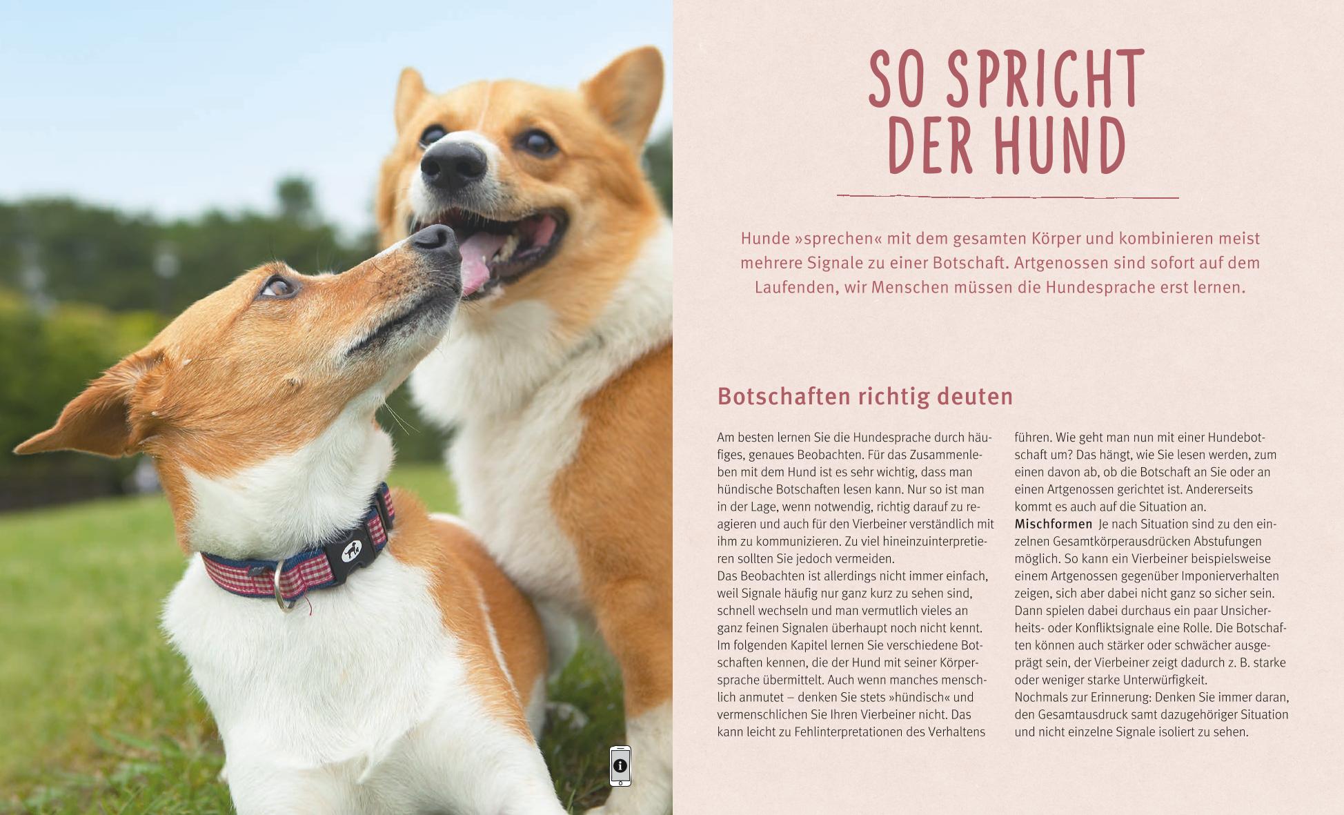 9783833841460_innenansicht_03 9783833841460_innenansicht_03.jpg