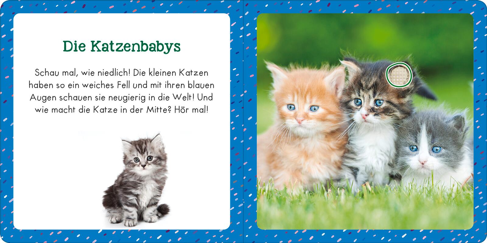 9783845855363_innenansicht_02.jpg