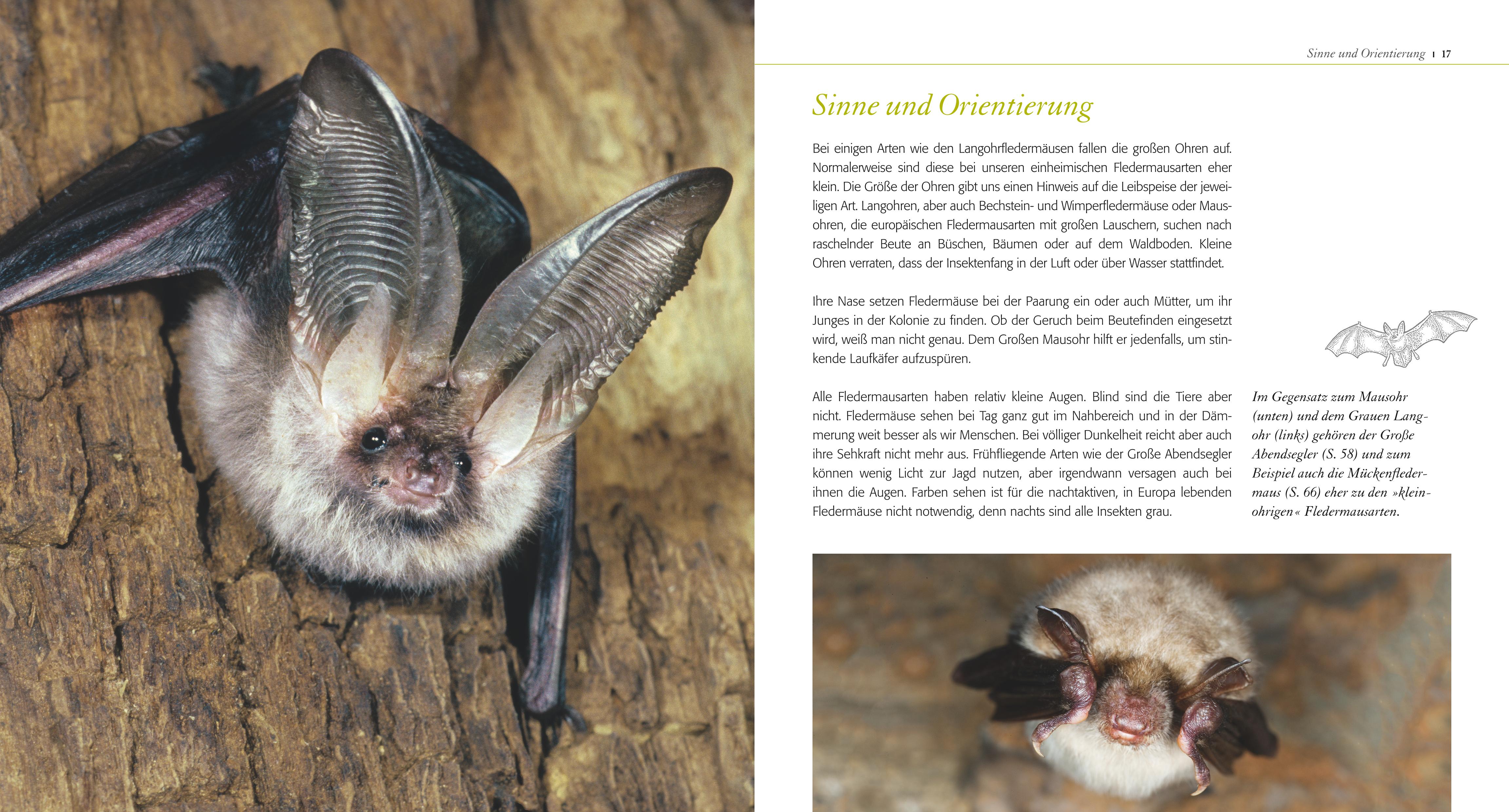 9783835419032_innenansicht_02 9783835419032_innenansicht_02.jpg