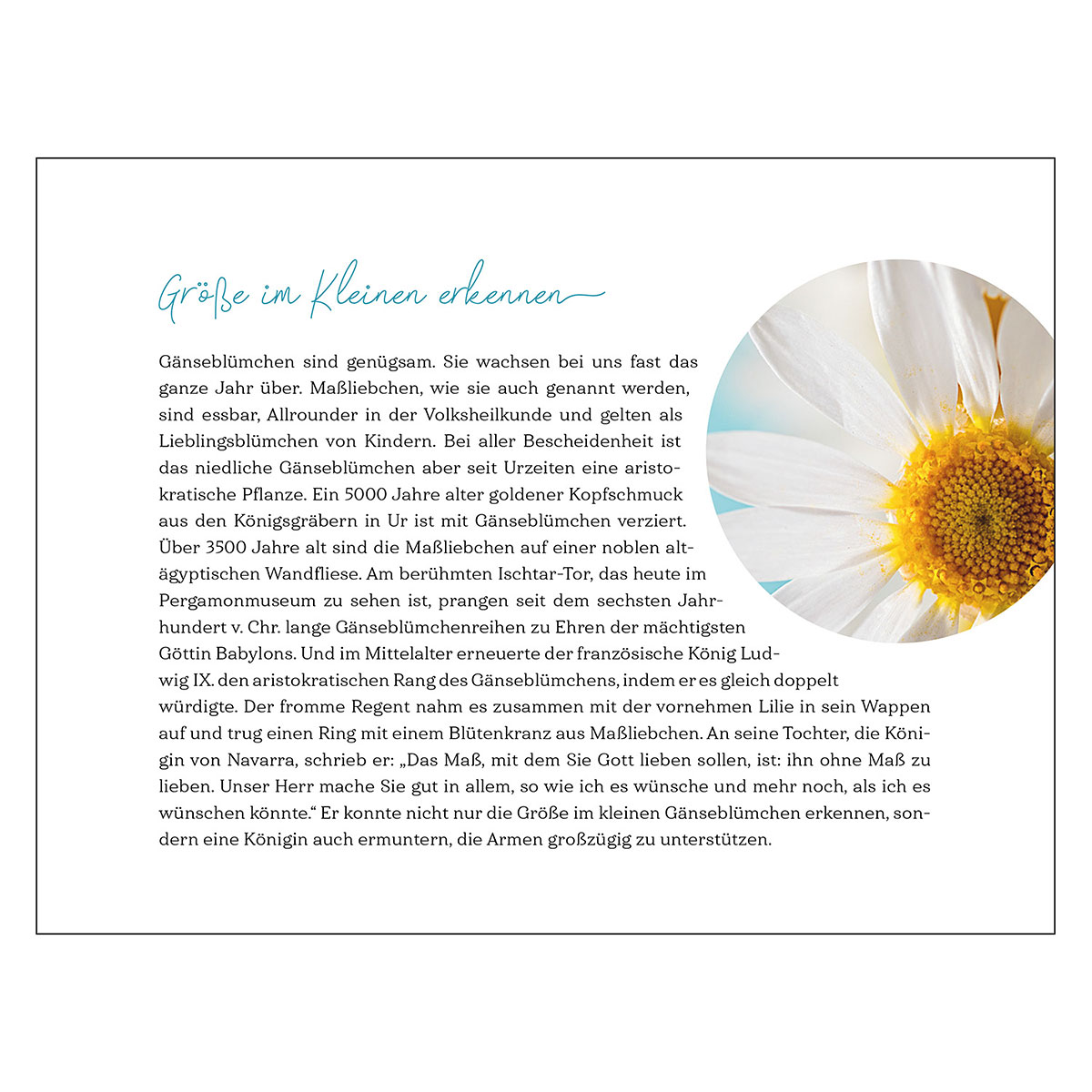 9783746267265_innenansicht_05 9783746267265_innenansicht_05.jpg