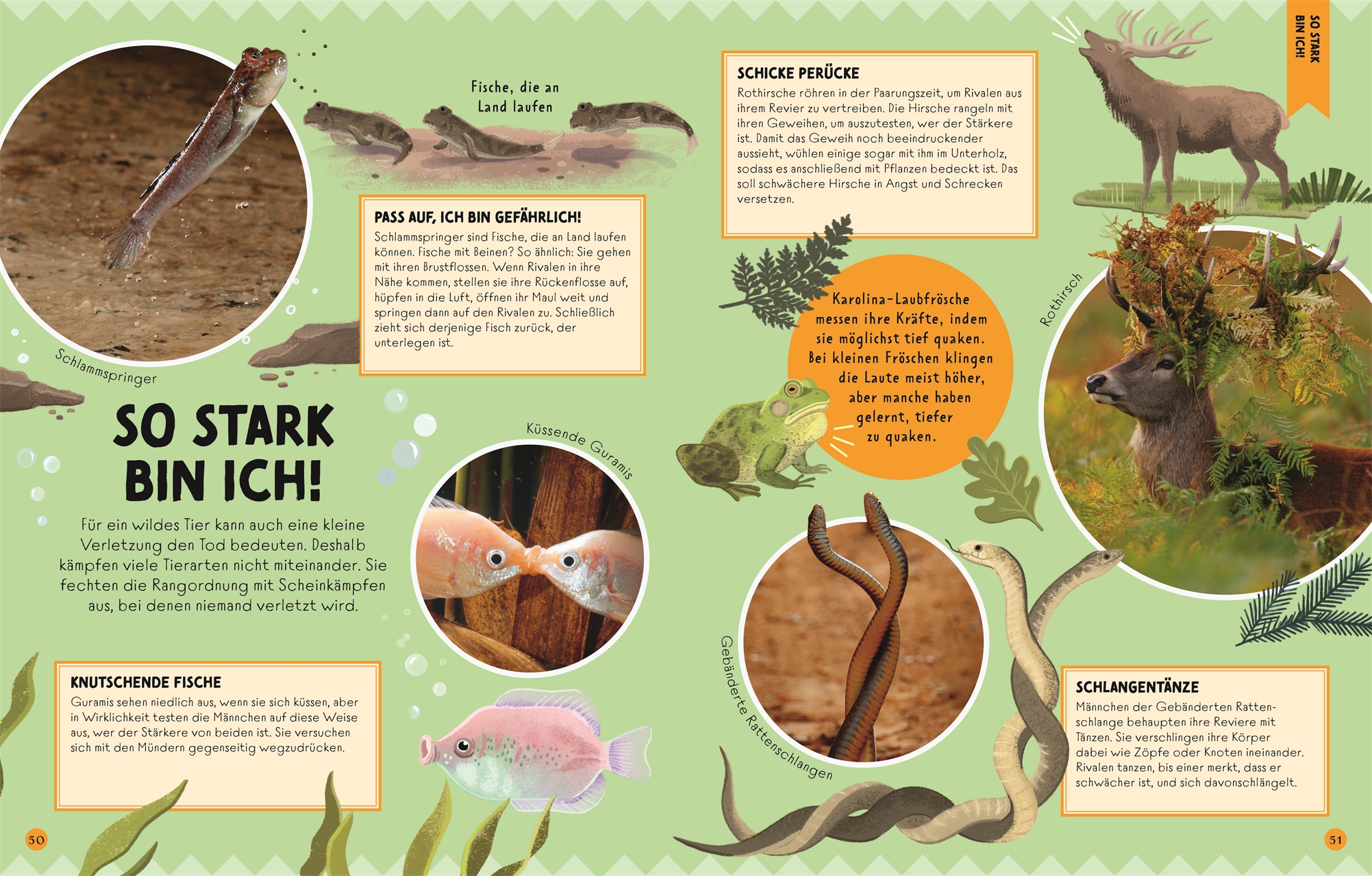 9783831048410_innenansicht_07 9783831048410_innenansicht_07.jpg