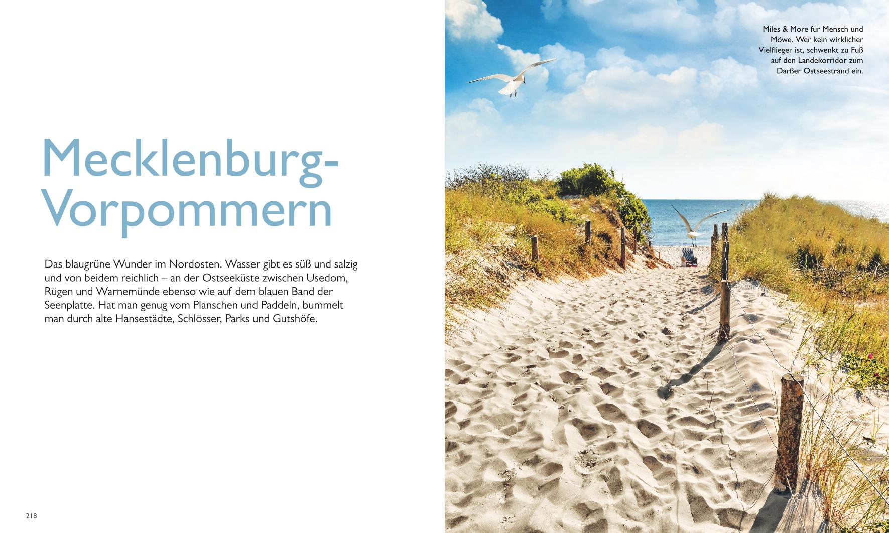 9783846409145_innenansicht_06.jpg
