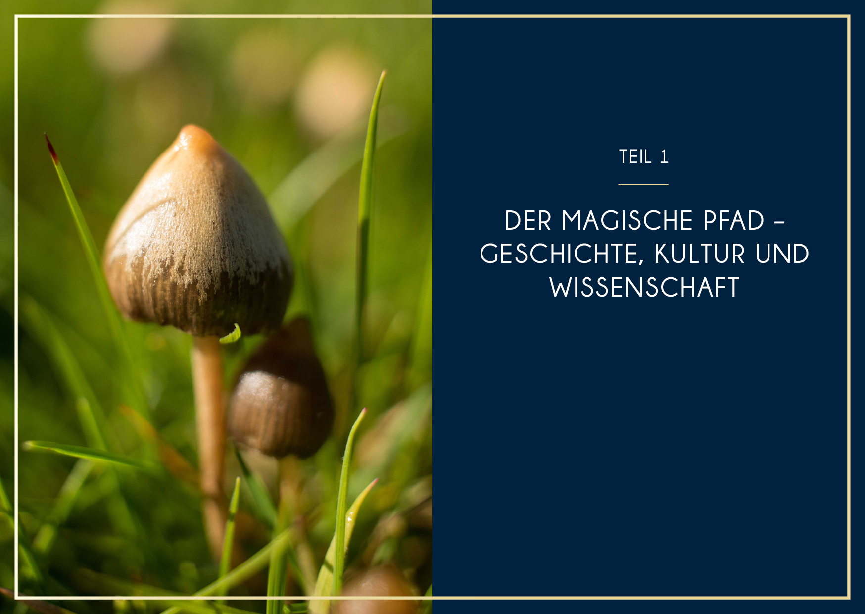 9783742325112_innenansicht_02.jpg