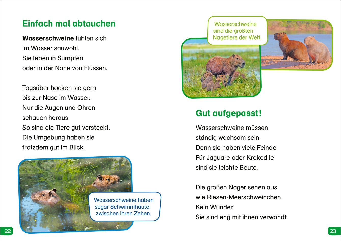 9783788677367_innenansicht_02.jpg
