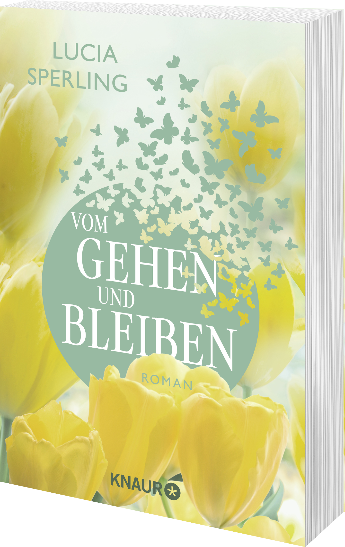 9783426529928_weiterecover_01 9783426529928_weiterecover_01.png