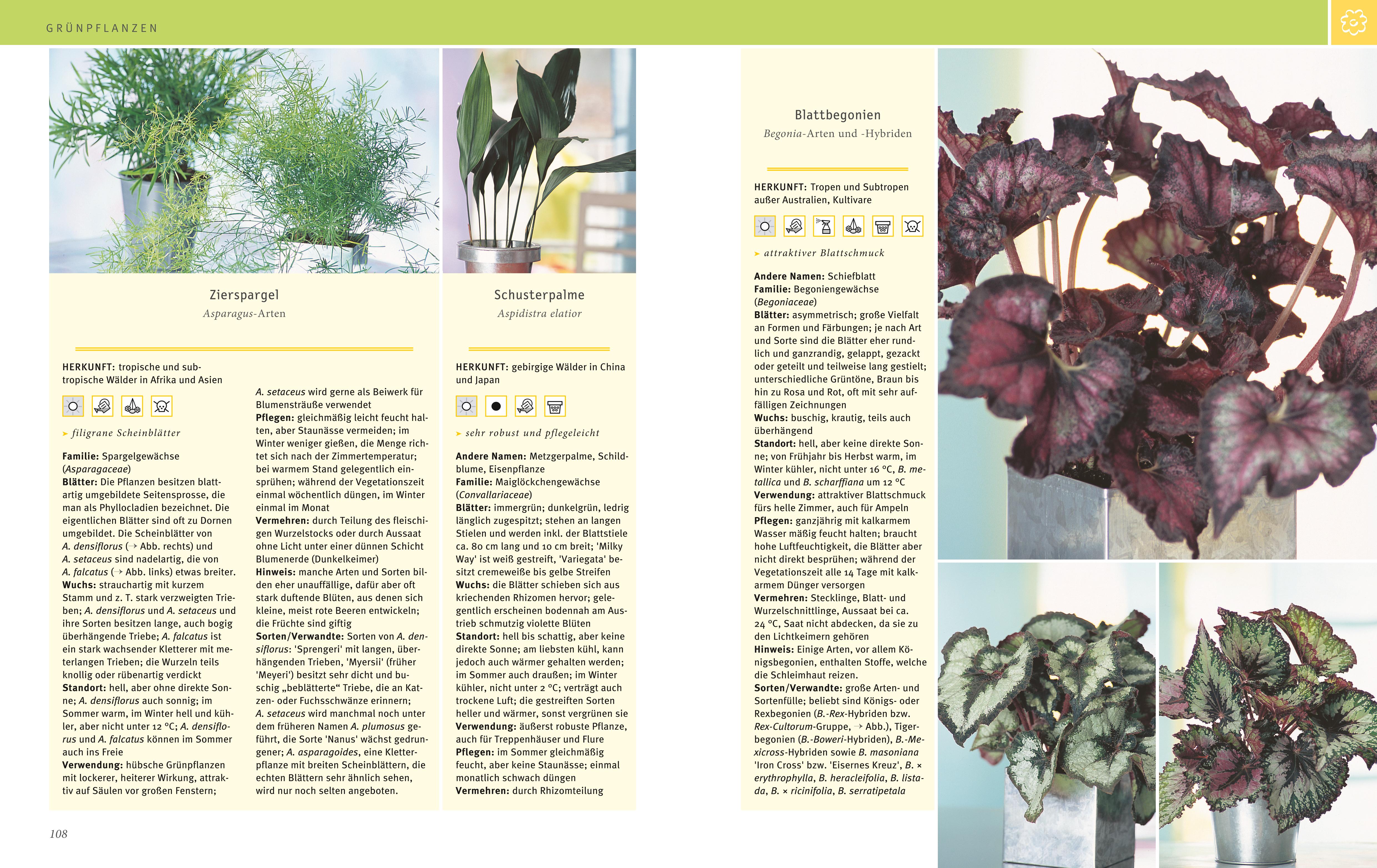 9783833853937_innenansicht_06 9783833853937_innenansicht_06.jpg