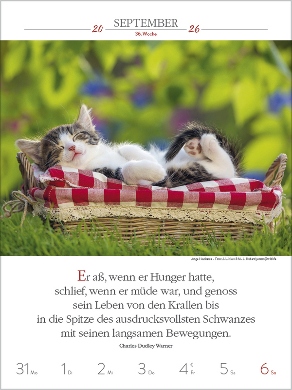 9783731884354_innenansicht_08.jpg