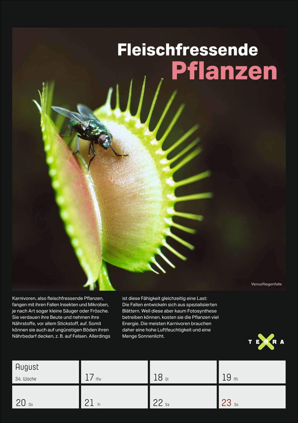 9783840037993_innenansicht_12.jpg