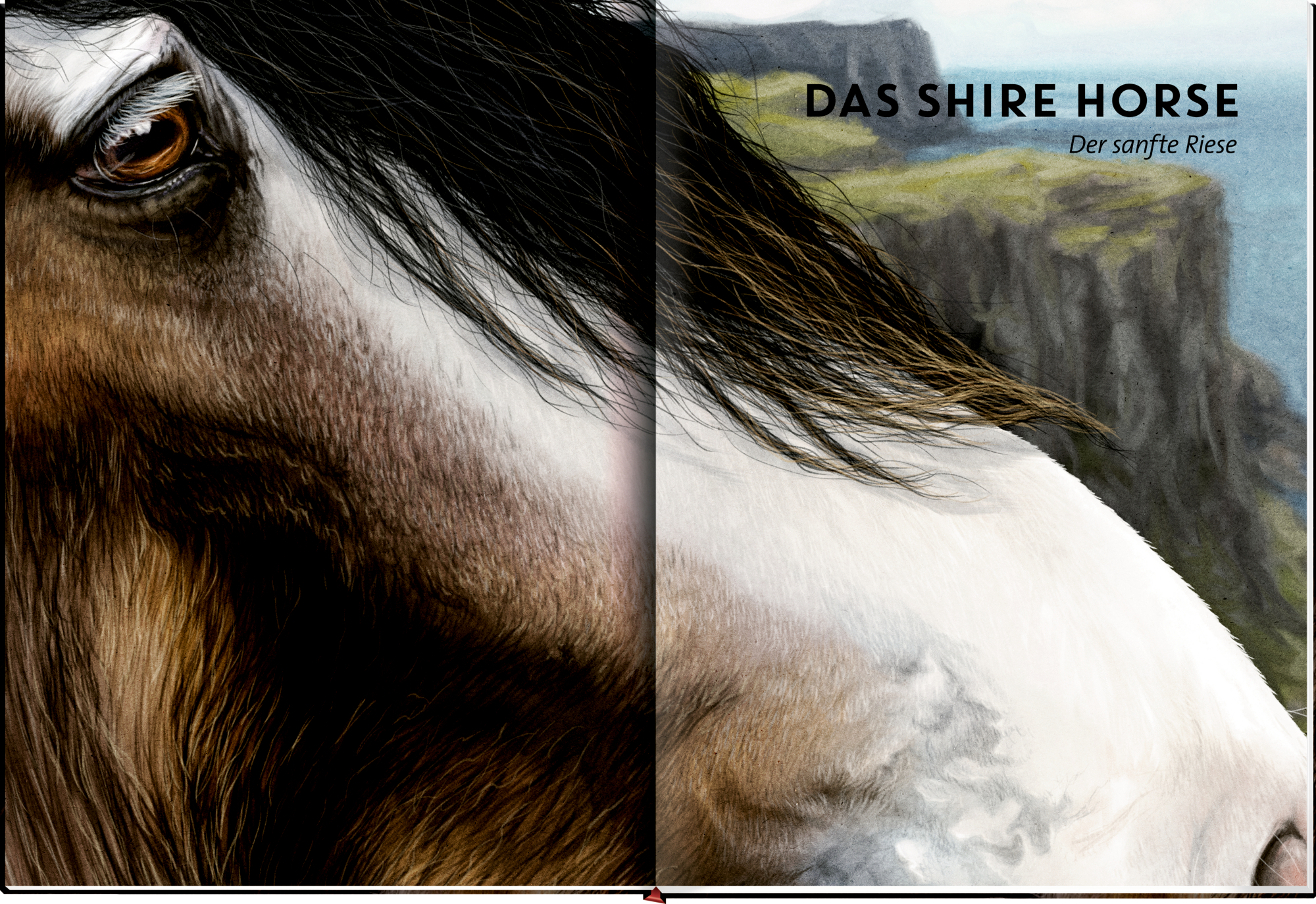 9783649646495_innenansicht_09 9783649646495_innenansicht_09.jpg