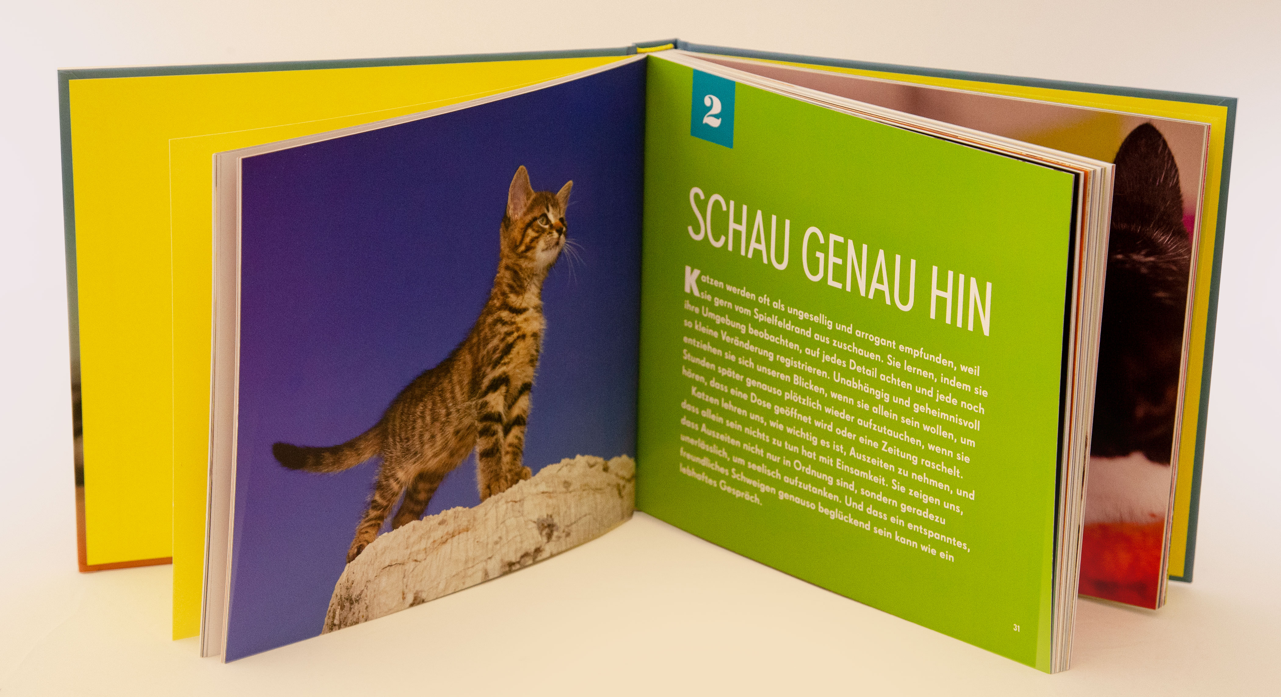 9783431041057_innenansicht_02 9783431041057_innenansicht_02.jpg