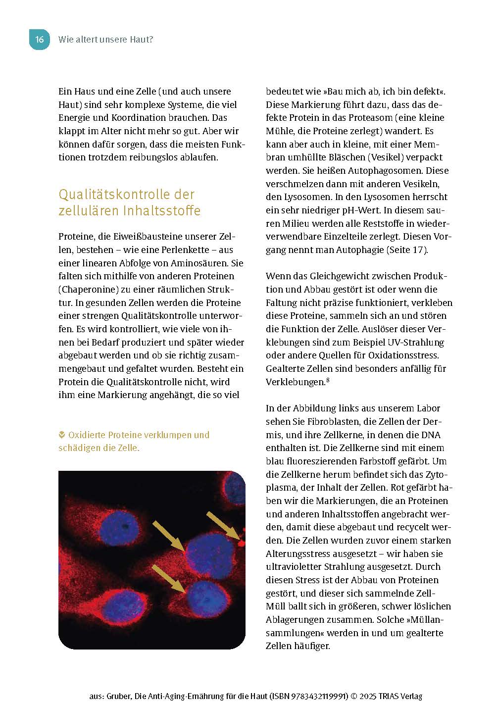 9783432119991_innenansicht_12.jpg