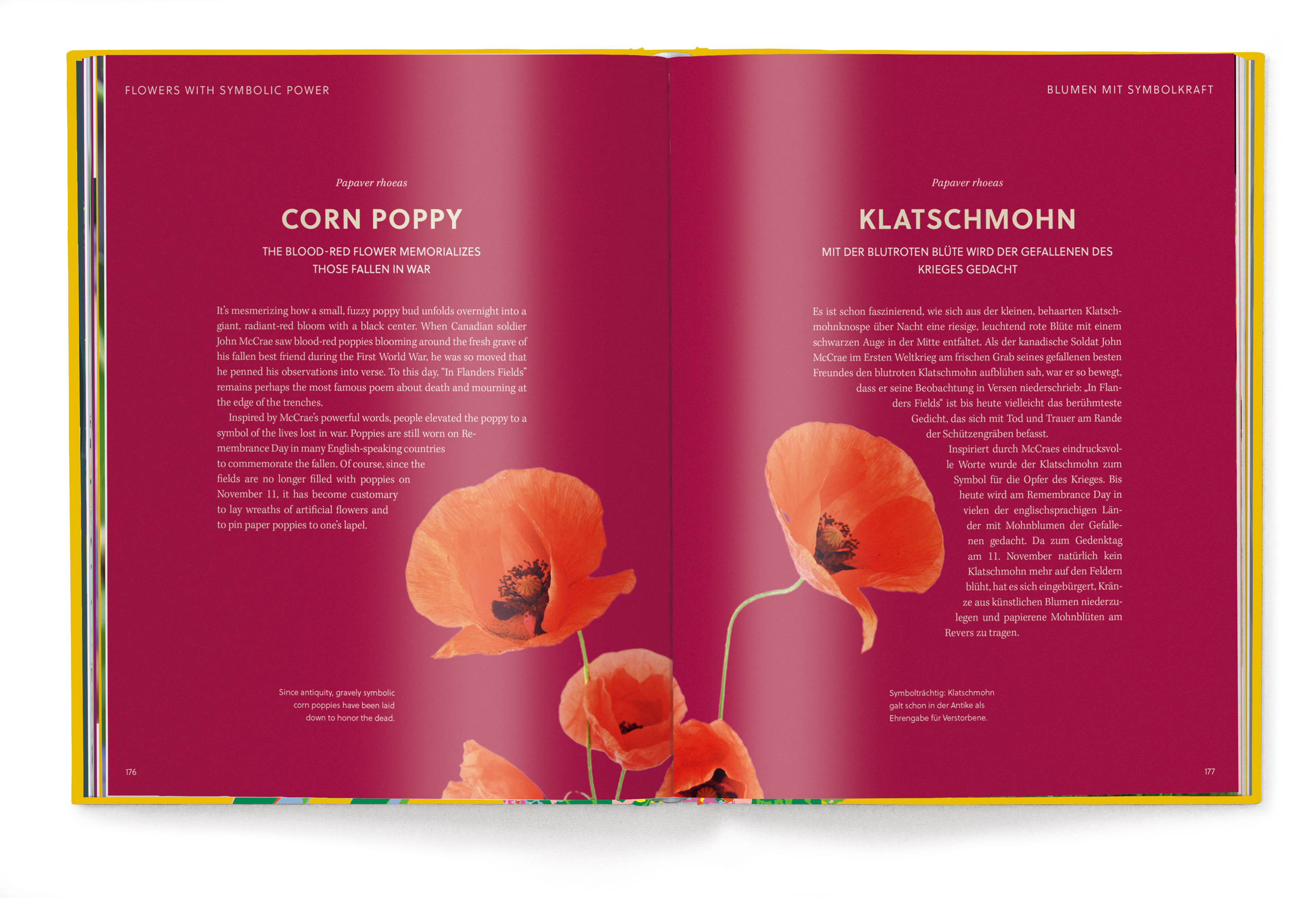 9783961715404_innenansicht_07 9783961715404_innenansicht_07.jpg