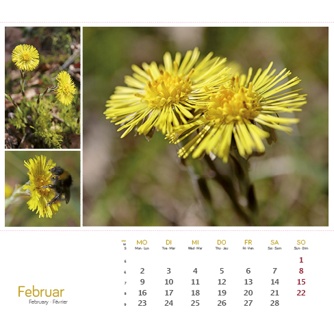 9783861925163_innenansicht_02 9783861925163_innenansicht_02.jpg