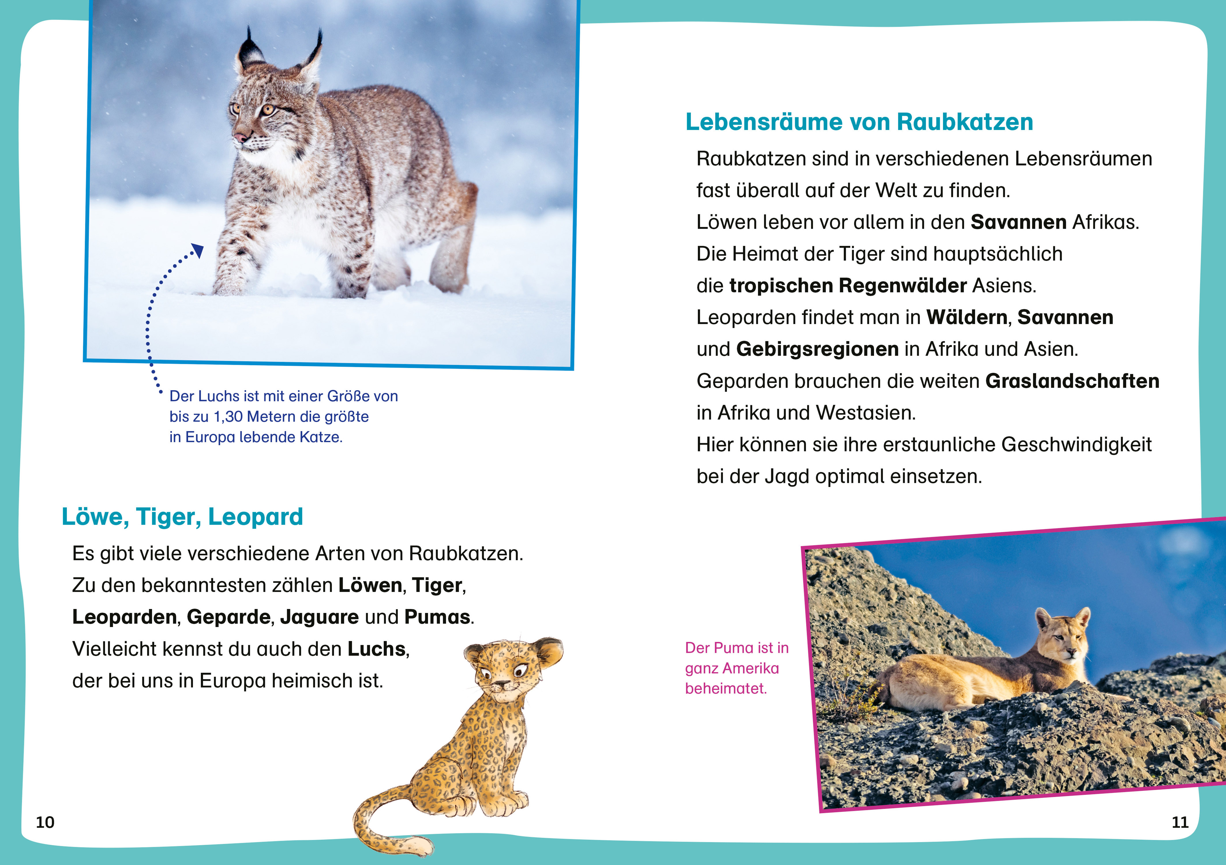 9783788677428_innenansicht_02.jpg