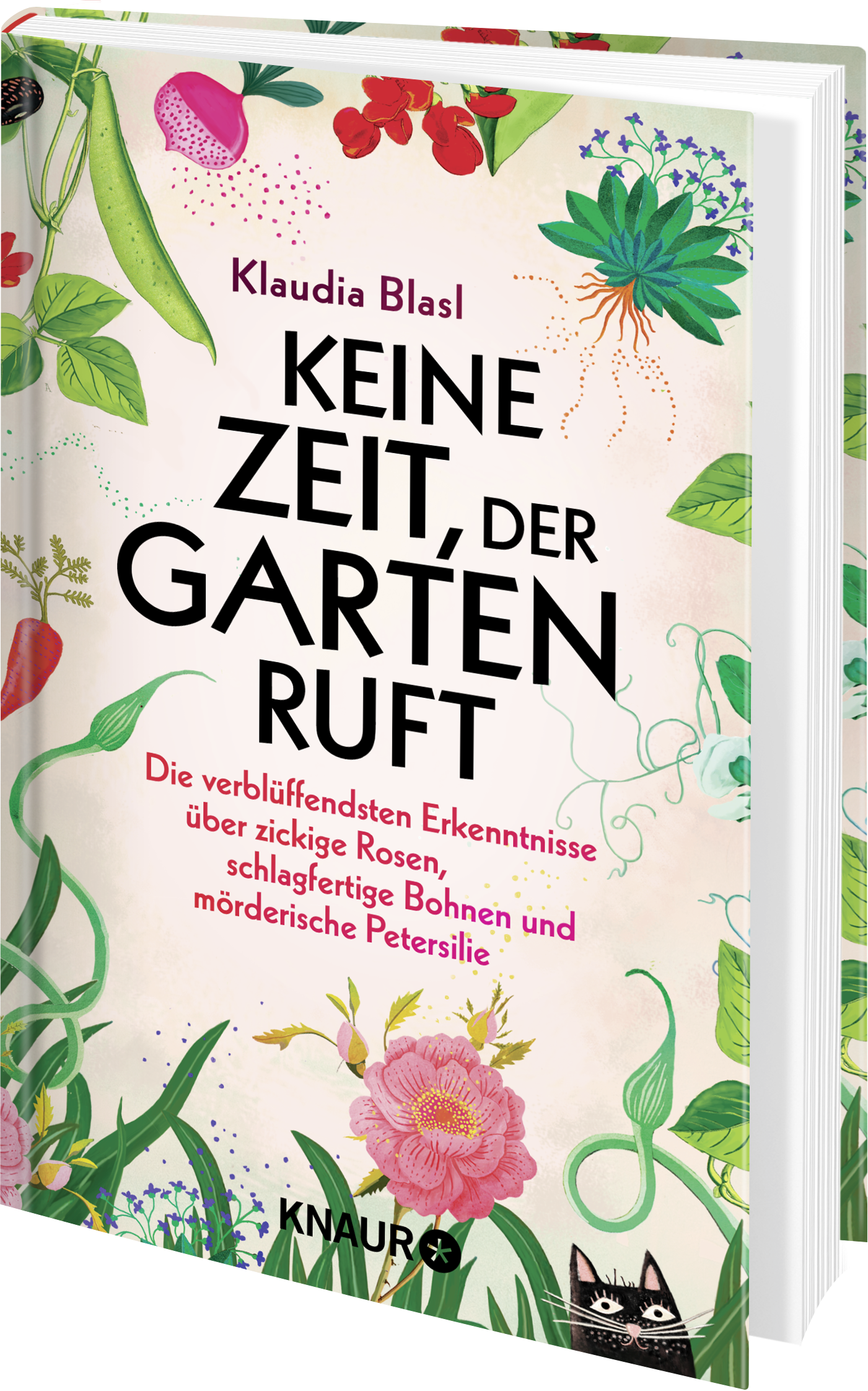 9783426560310_weiterecover_01 9783426560310_weiterecover_01.png