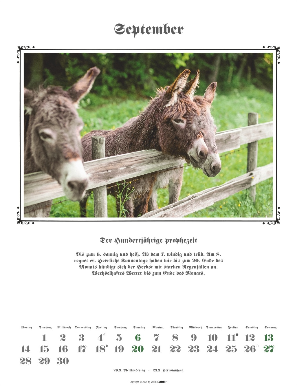 9783839902097_innenansicht_09.jpg