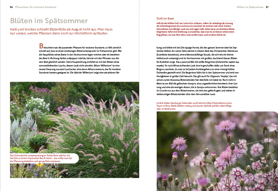 9783818617653_innenansicht_06 9783818617653_innenansicht_06.jpg