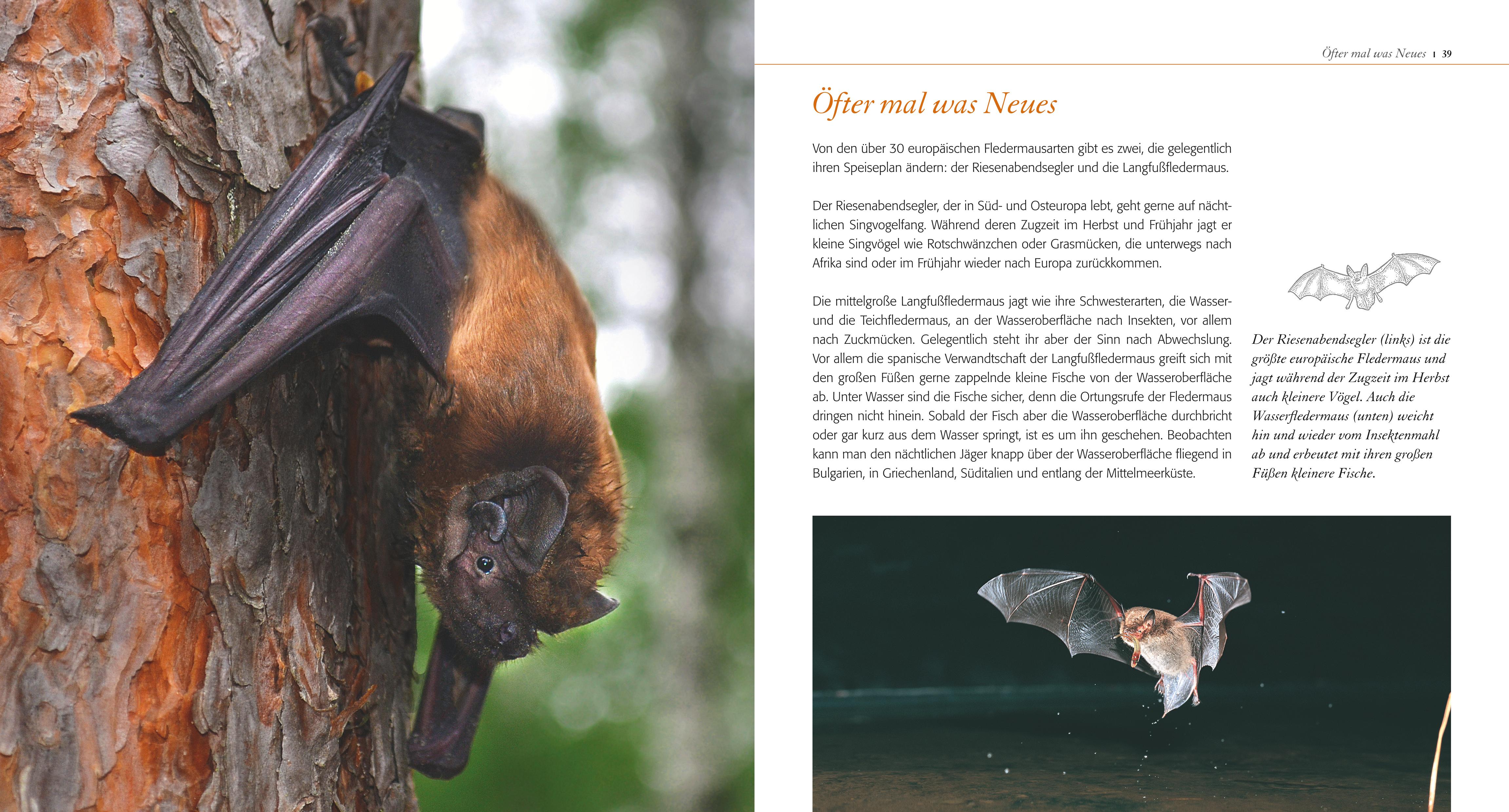 9783835419032_innenansicht_04 9783835419032_innenansicht_04.jpg