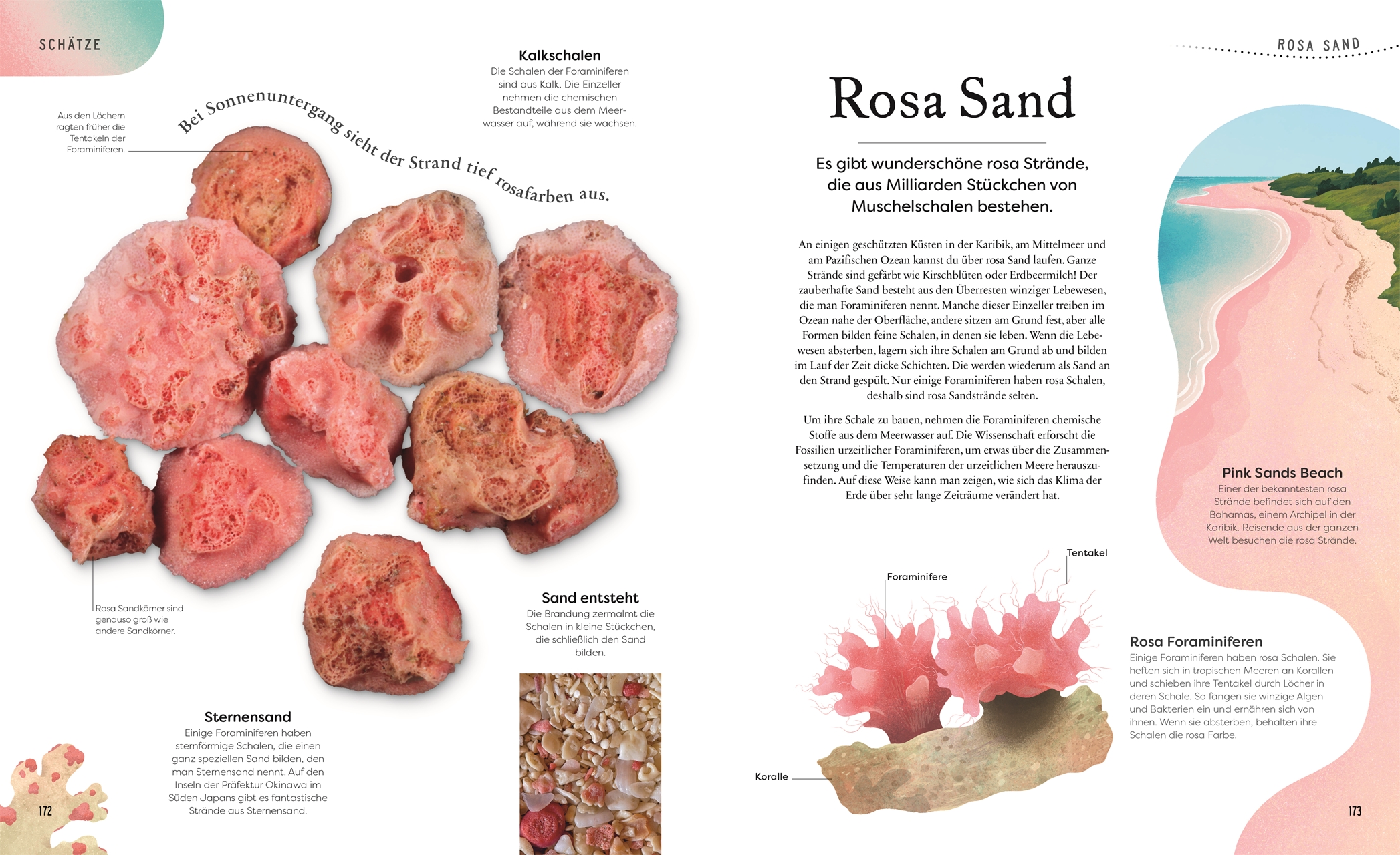 9783831049127_innenansicht_05 9783831049127_innenansicht_05.jpg