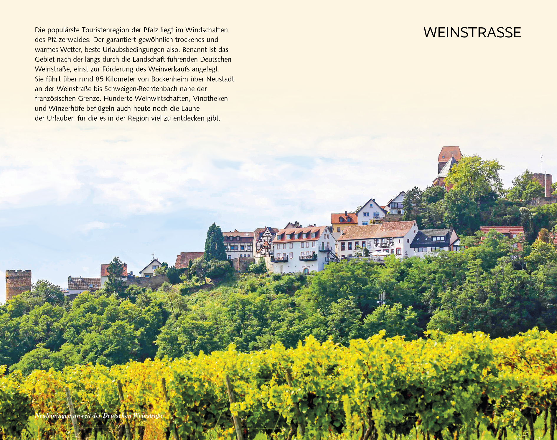 9783897945036_innenansicht_14 9783897945036_innenansicht_14.jpg