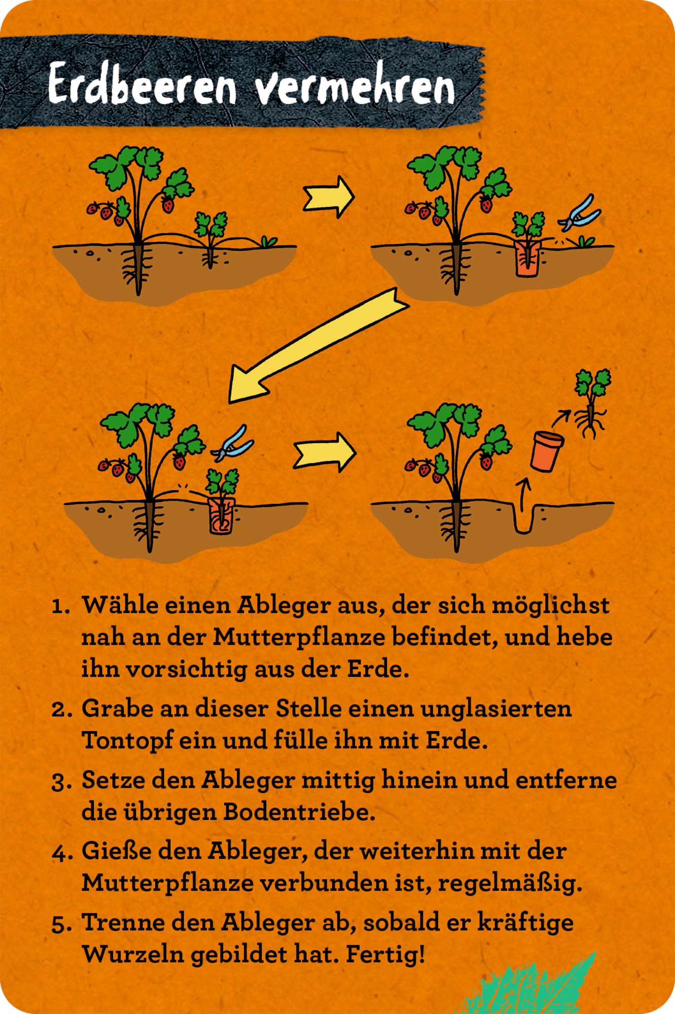 9783649647935_innenansicht_04 9783649647935_innenansicht_04.jpg