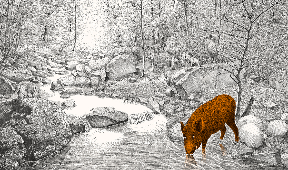 9783772531989_innenansicht_03 9783772531989_innenansicht_03.jpg