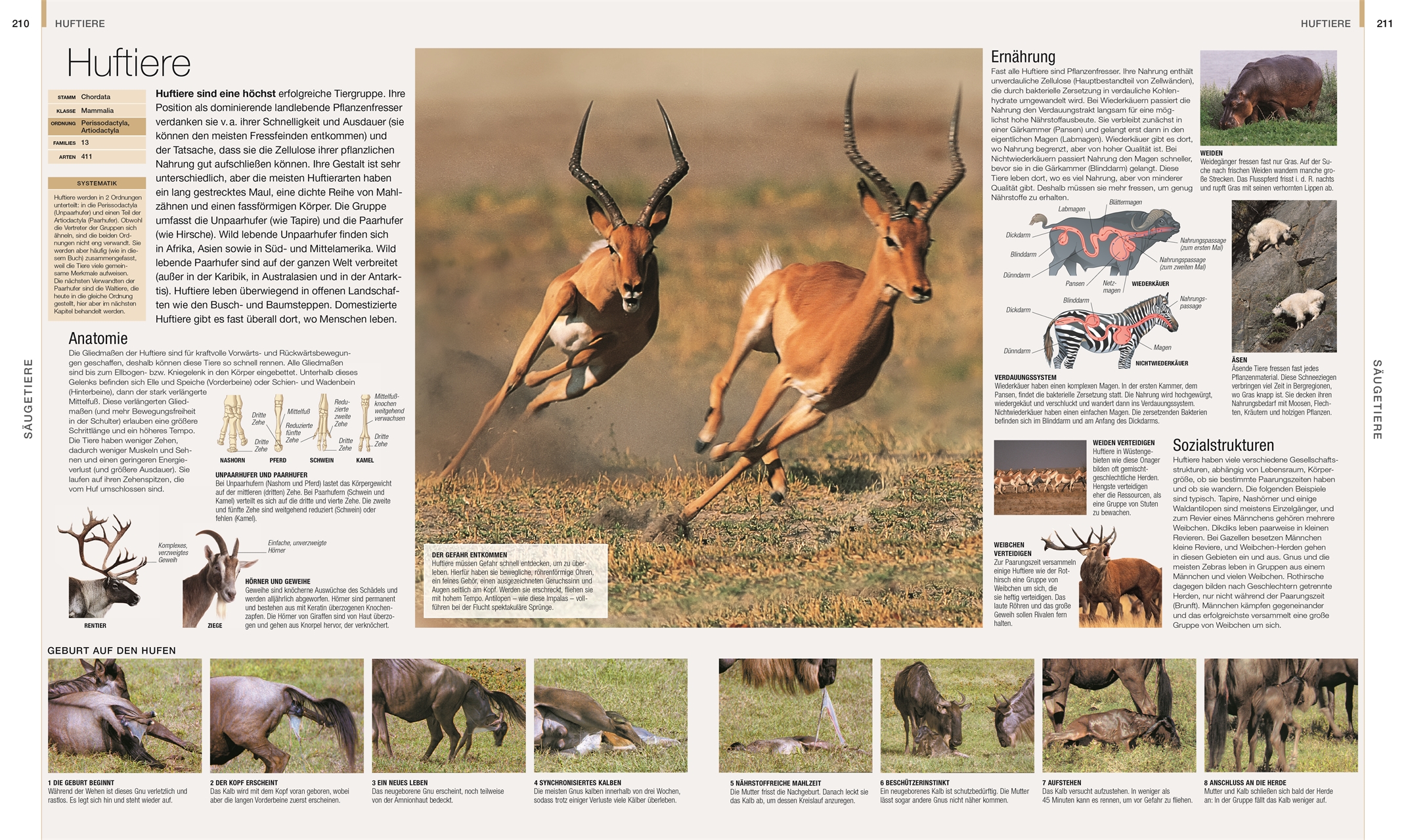 9783831048489_innenansicht_08 9783831048489_innenansicht_08.jpg