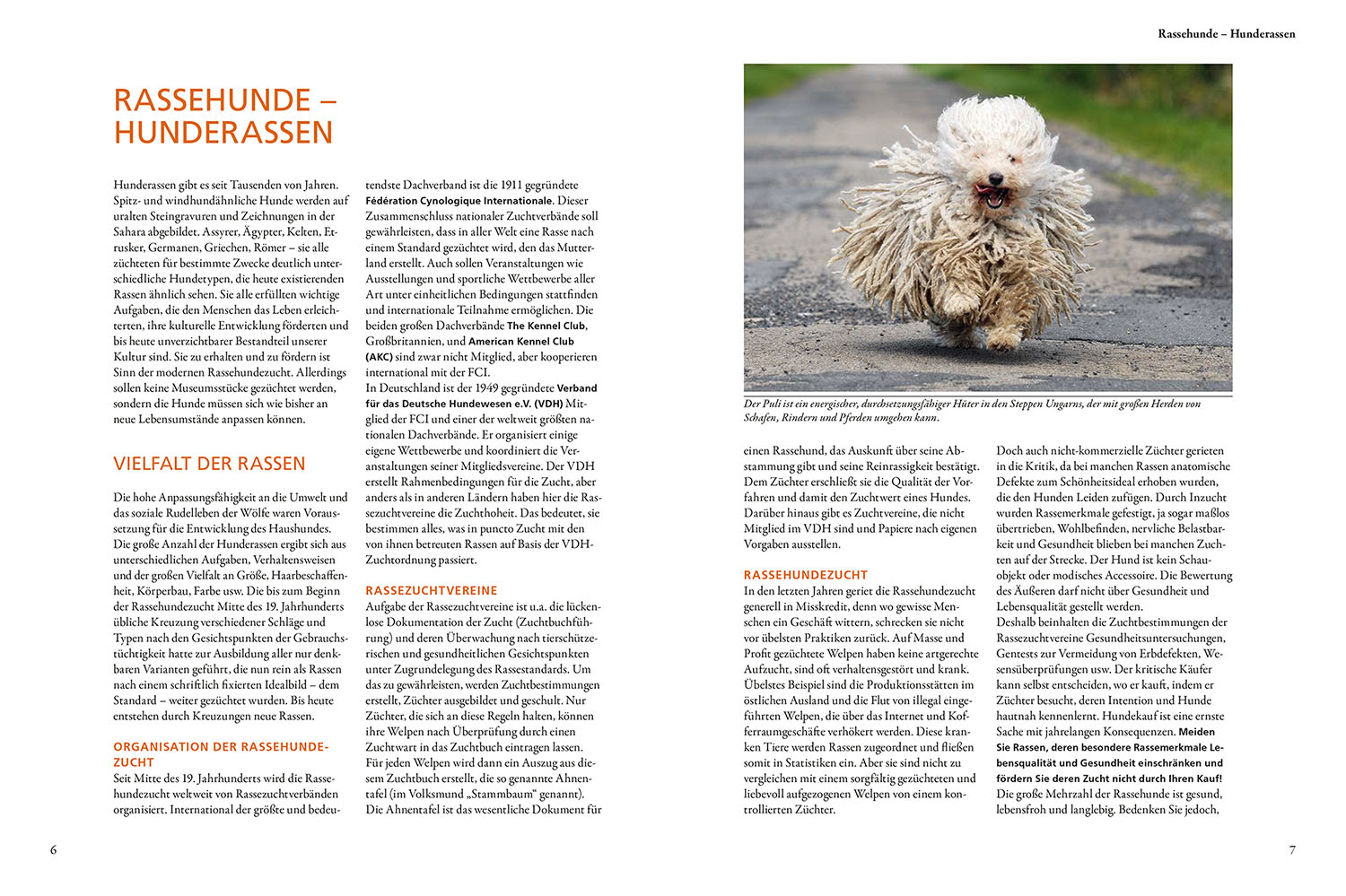 9783440176955_innenansicht_01 9783440176955_innenansicht_01.jpg