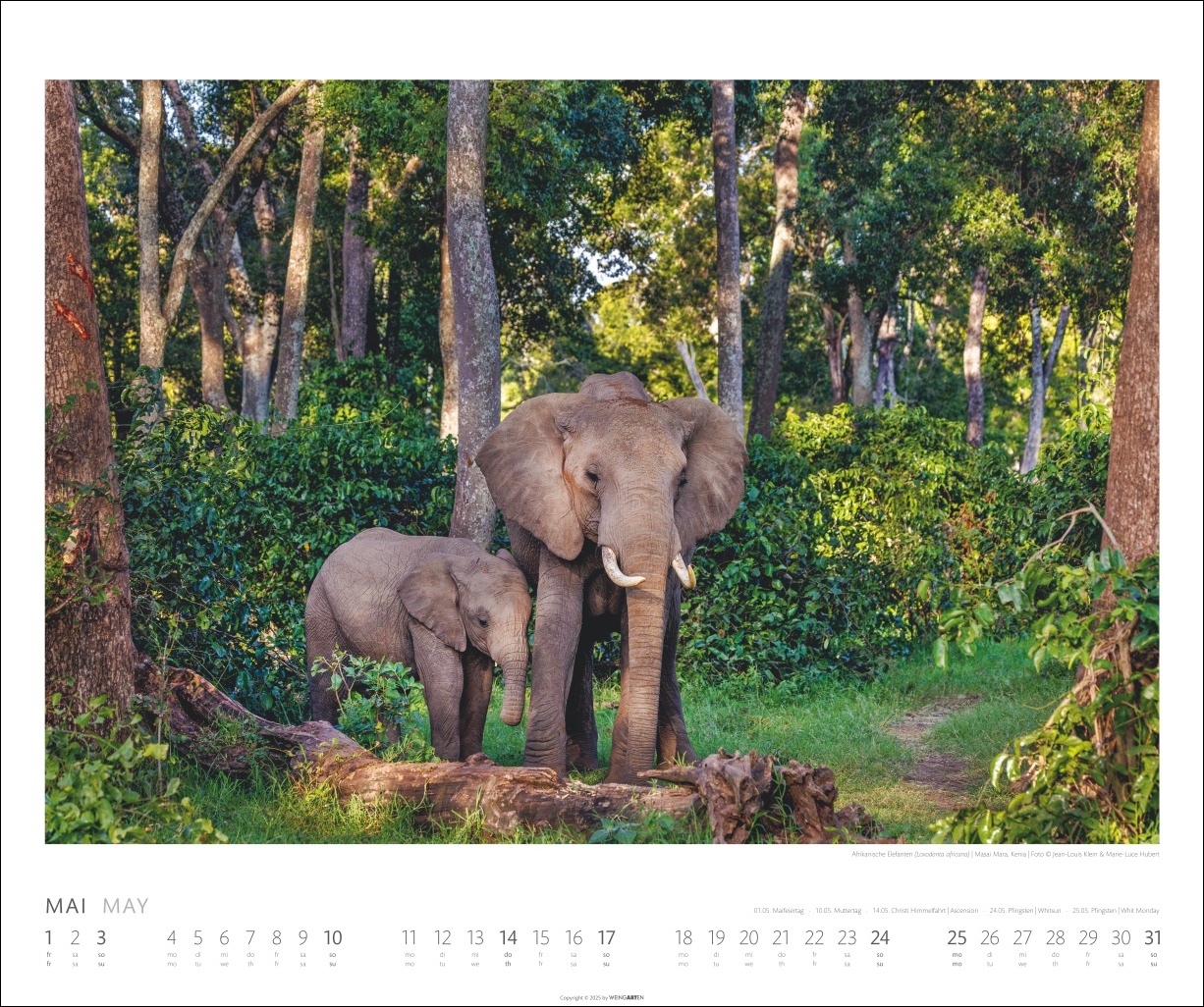 9783839901908_innenansicht_05 9783839901908_innenansicht_05.jpg