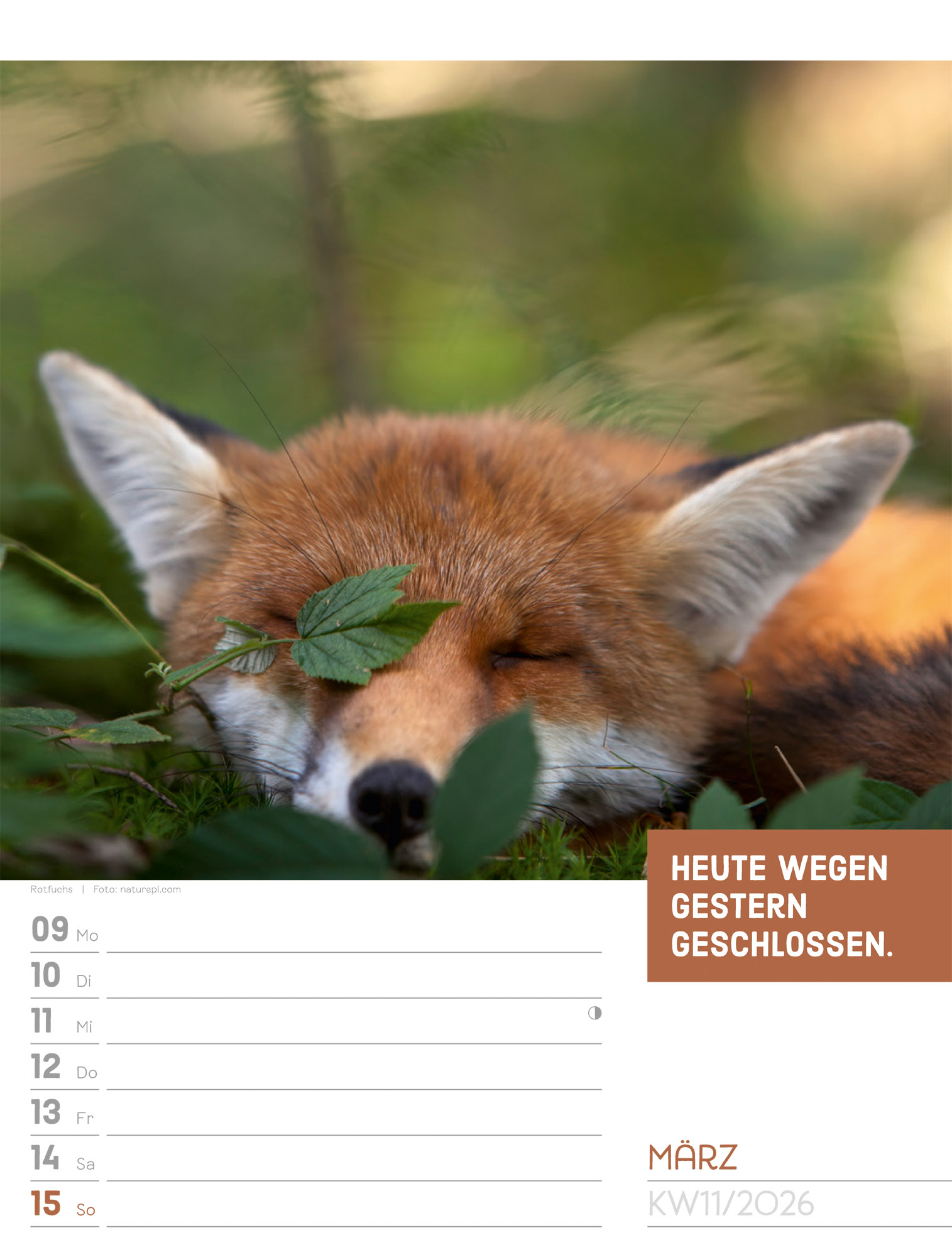 9783838426969_innenansicht_14.jpg