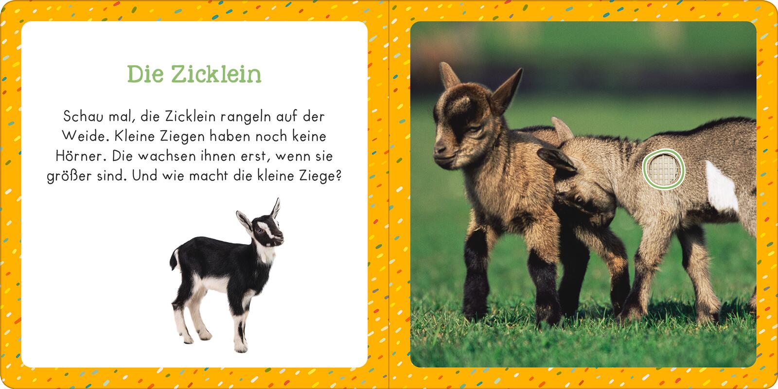 9783845855349_innenansicht_01.jpg