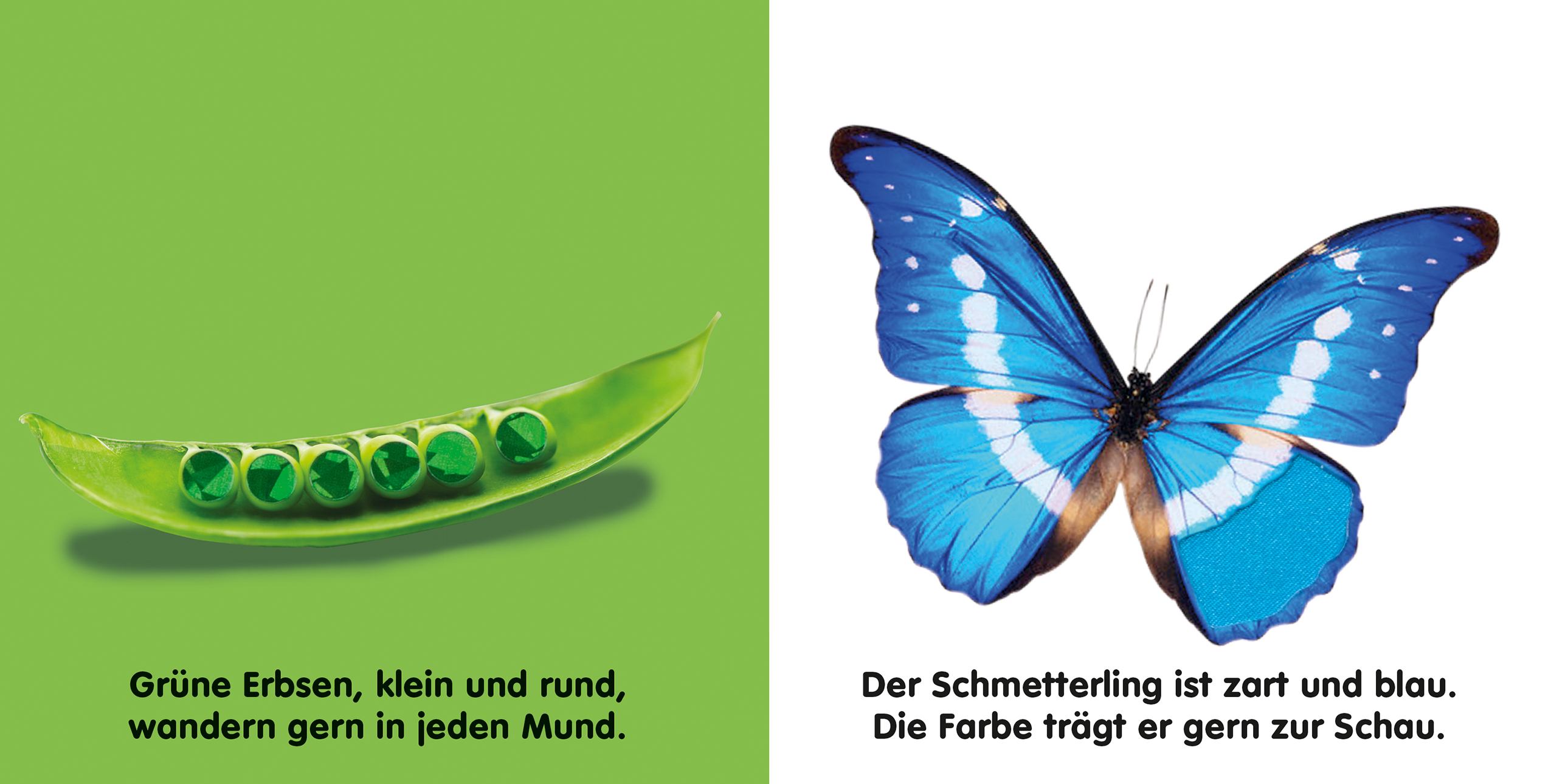 9783831030927_innenansicht_02.jpg