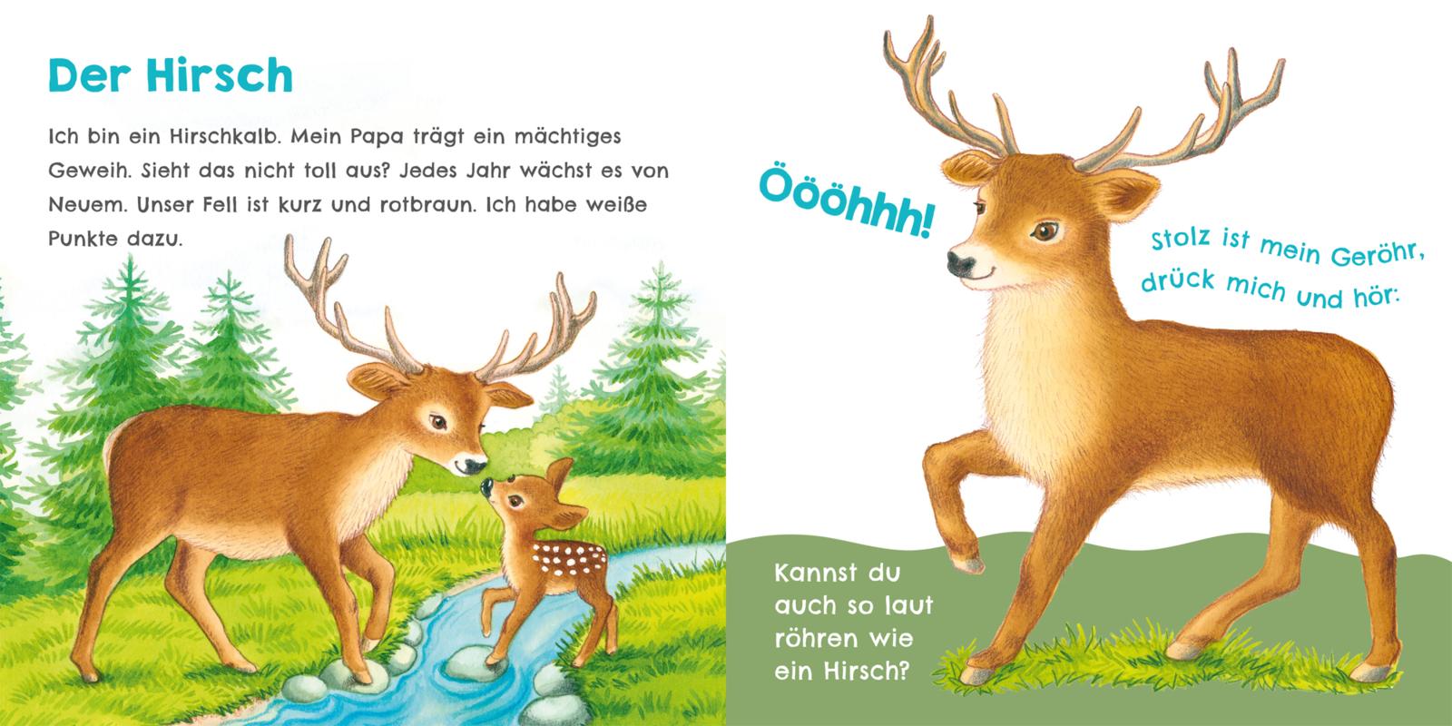 9783551254023_innenansicht_06.jpg