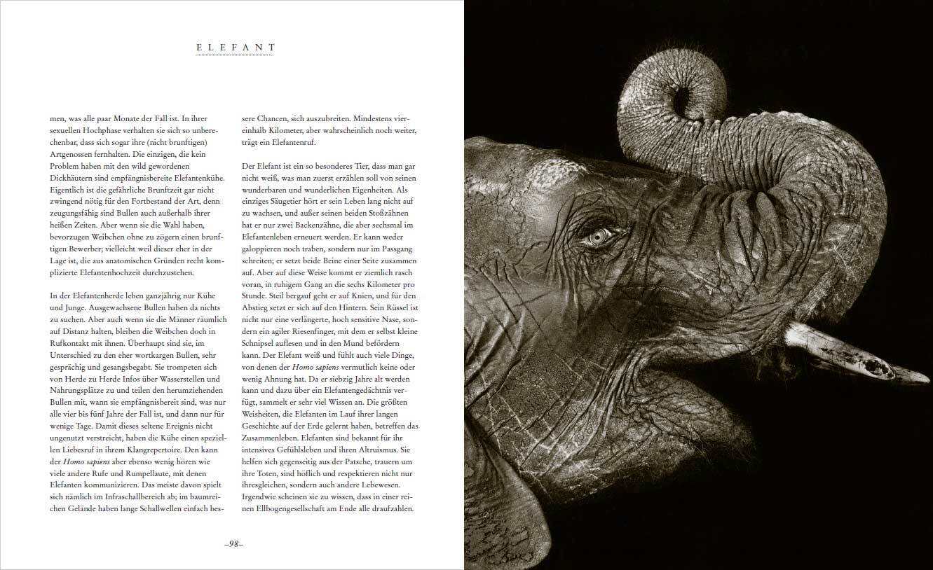 9783809448006_innenansicht_03 9783809448006_innenansicht_03.jpg