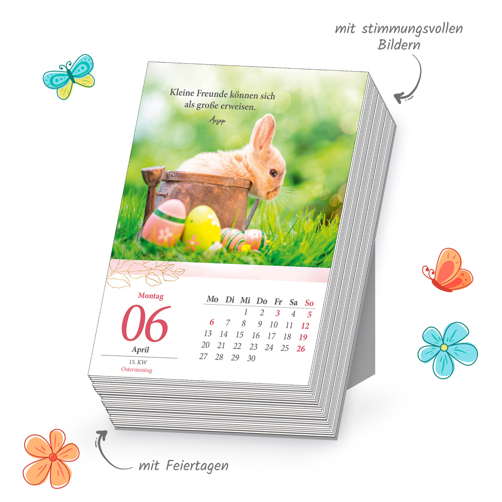 9783988024534_innenansicht_03.jpg