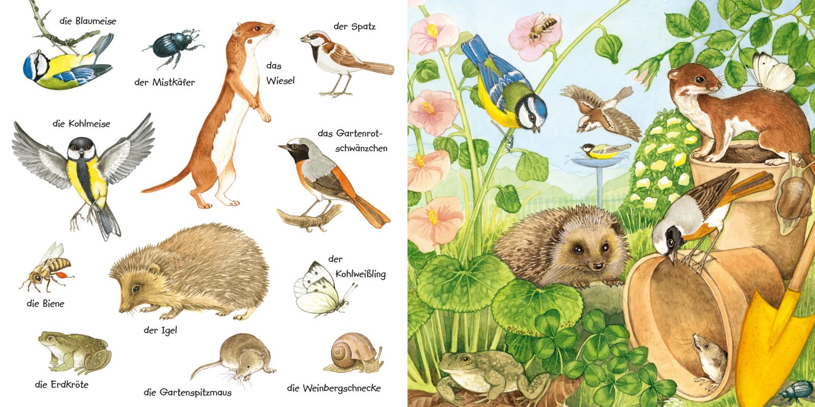 9783551173256_innenansicht_02 9783551173256_innenansicht_02.jpg