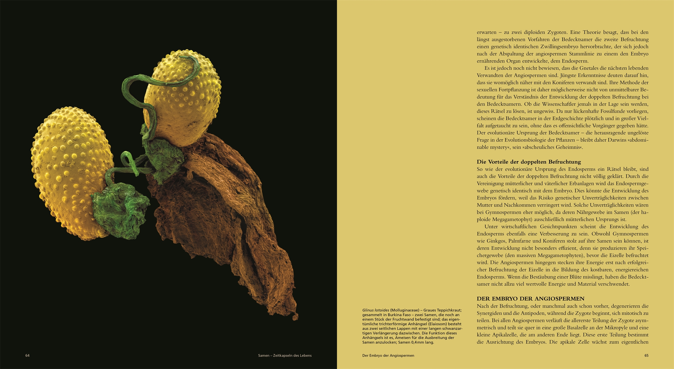 9783831049974_innenansicht_02 9783831049974_innenansicht_02.jpg