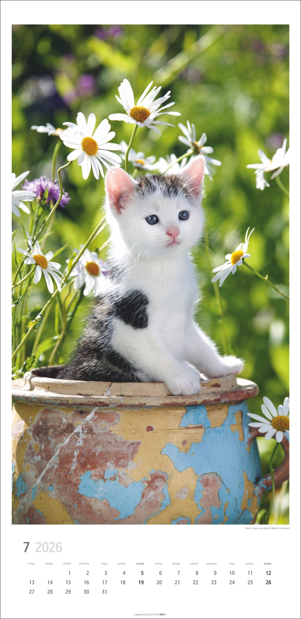 9783839903025_innenansicht_07 9783839903025_innenansicht_07.jpg