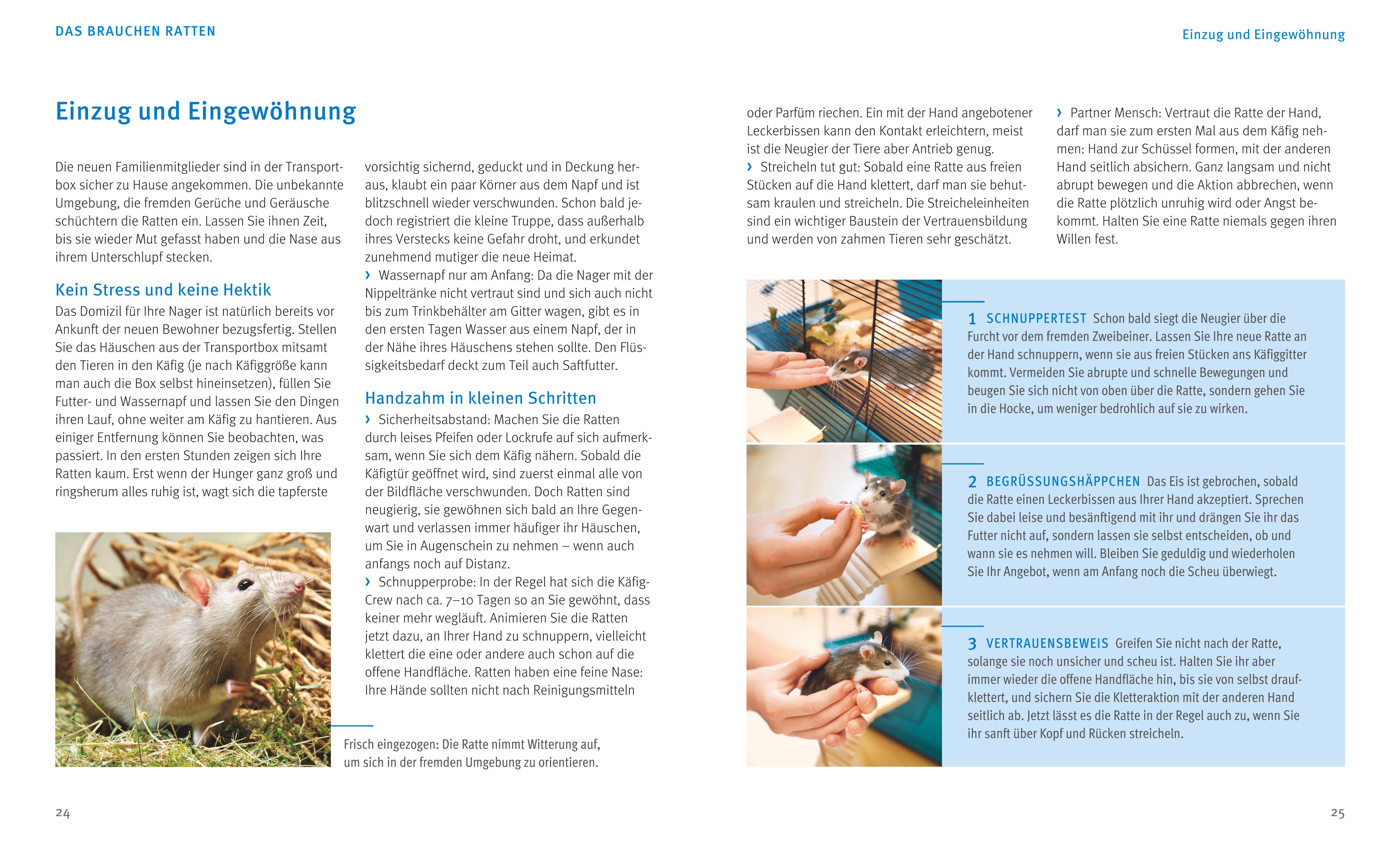 9783833855078_innenansicht_05 9783833855078_innenansicht_05.jpg