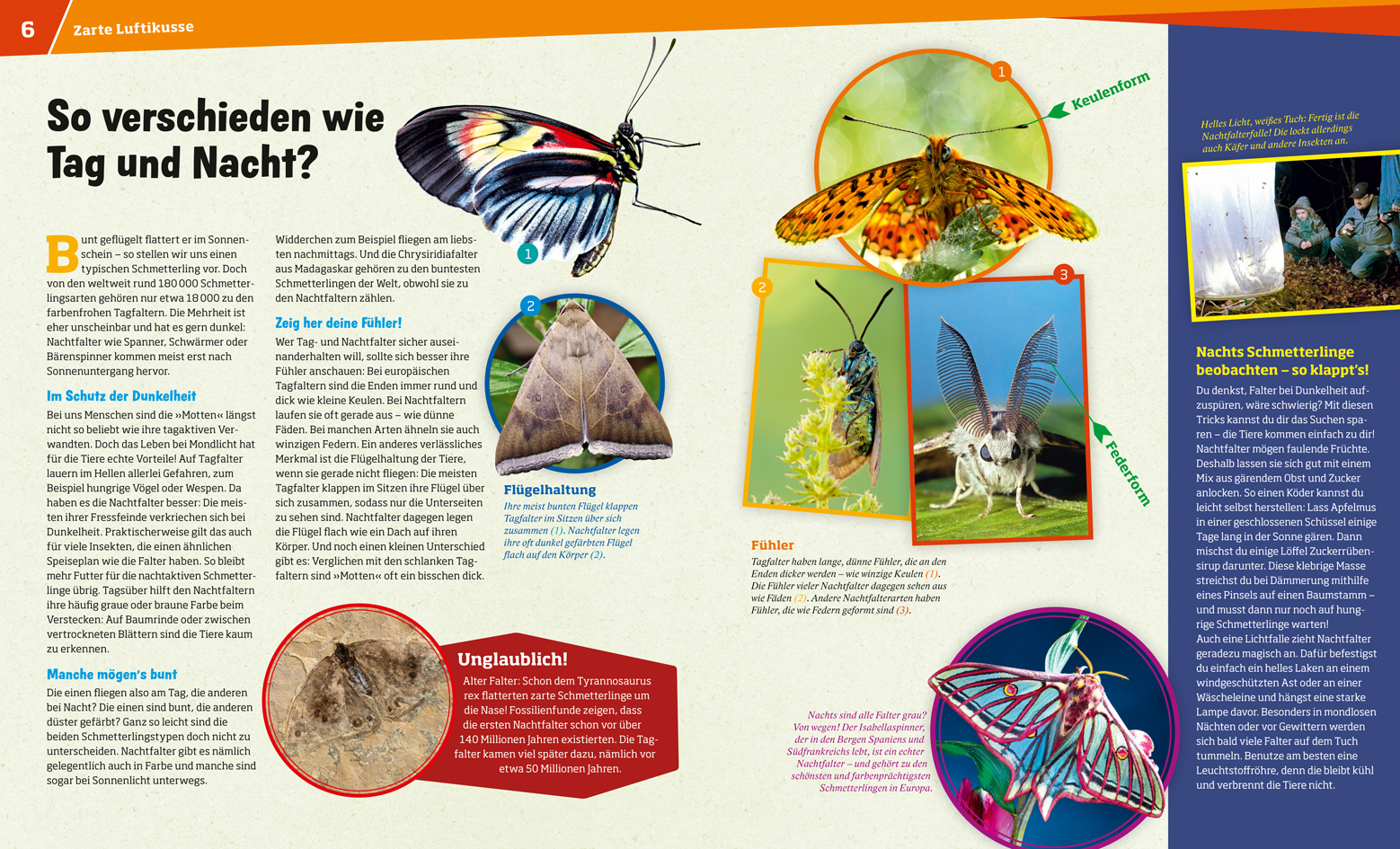 9783788620776_innenansicht_03 9783788620776_innenansicht_03.jpg