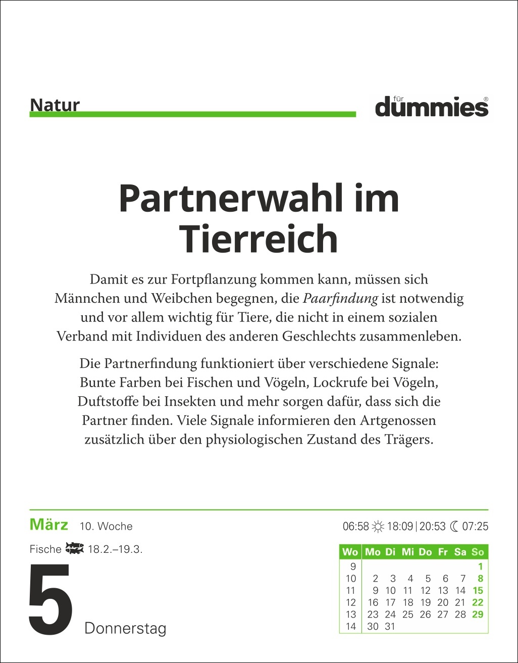 9783840037702_innenansicht_07.jpg