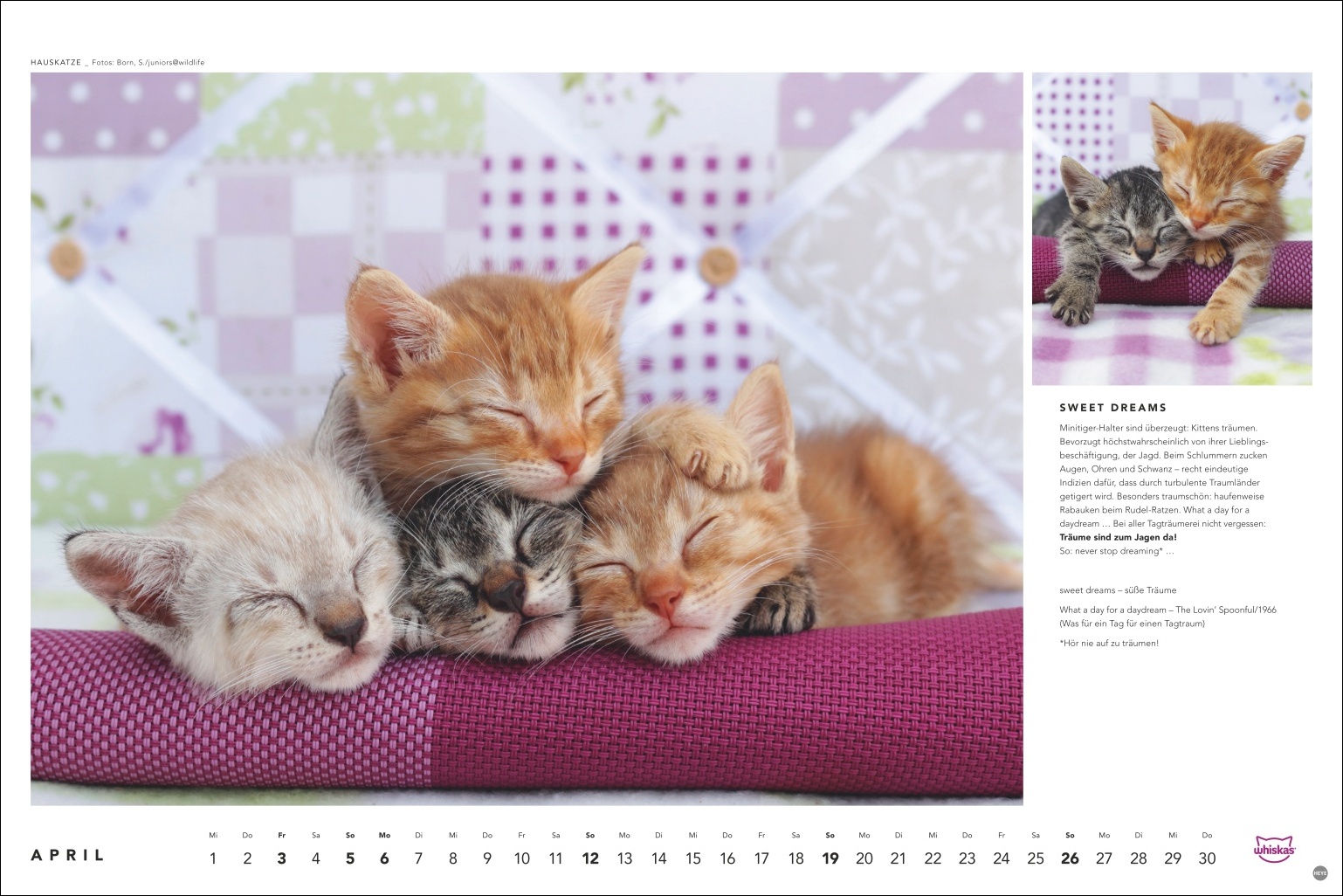 9783756413119_innenansicht_04 9783756413119_innenansicht_04.jpg