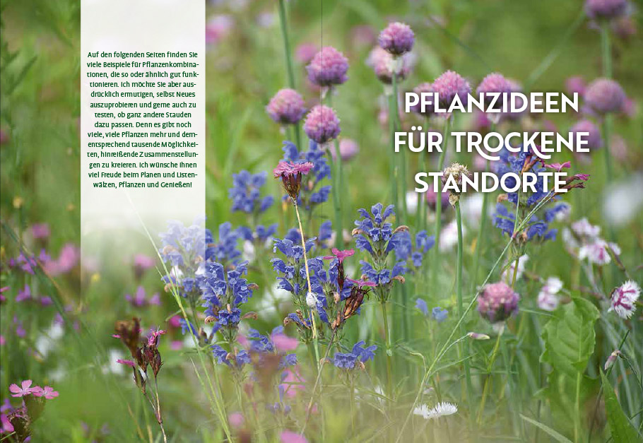 9783818617653_innenansicht_03 9783818617653_innenansicht_03.jpg