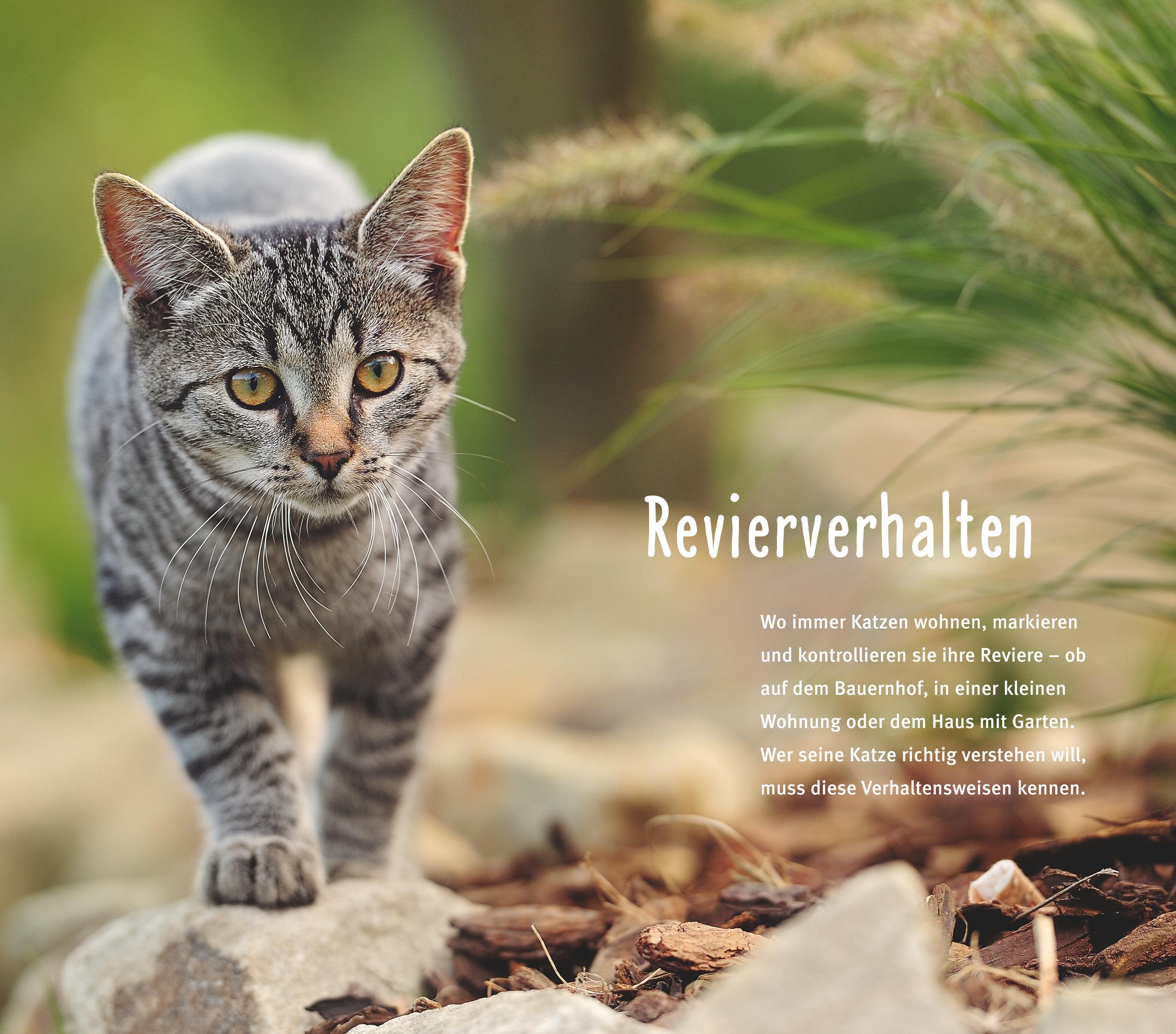 9783833852152_innenansicht_06.jpg
