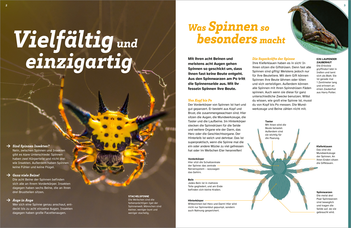9783788677060_innenansicht_02.jpg