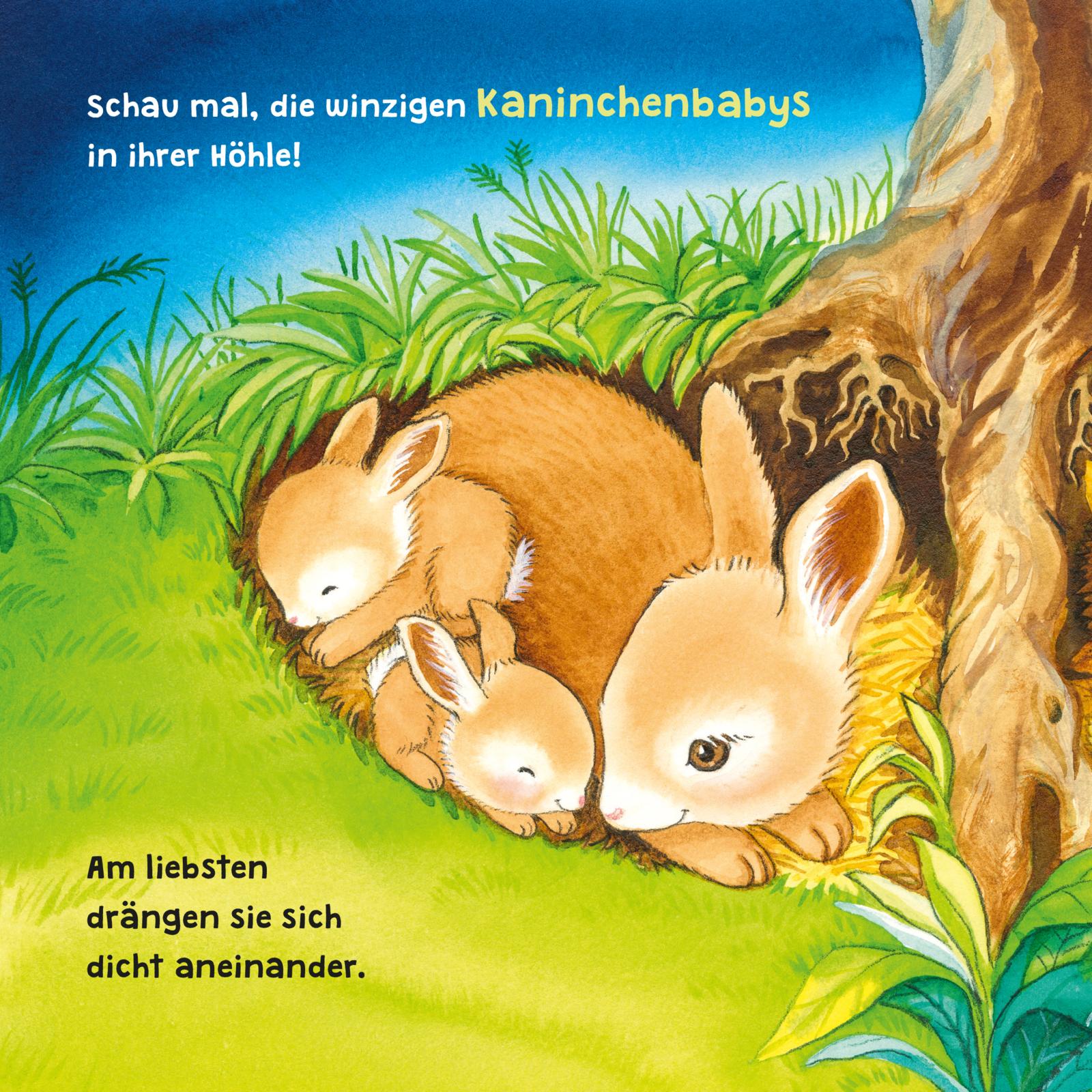 9783551051981_innenansicht_03.jpg