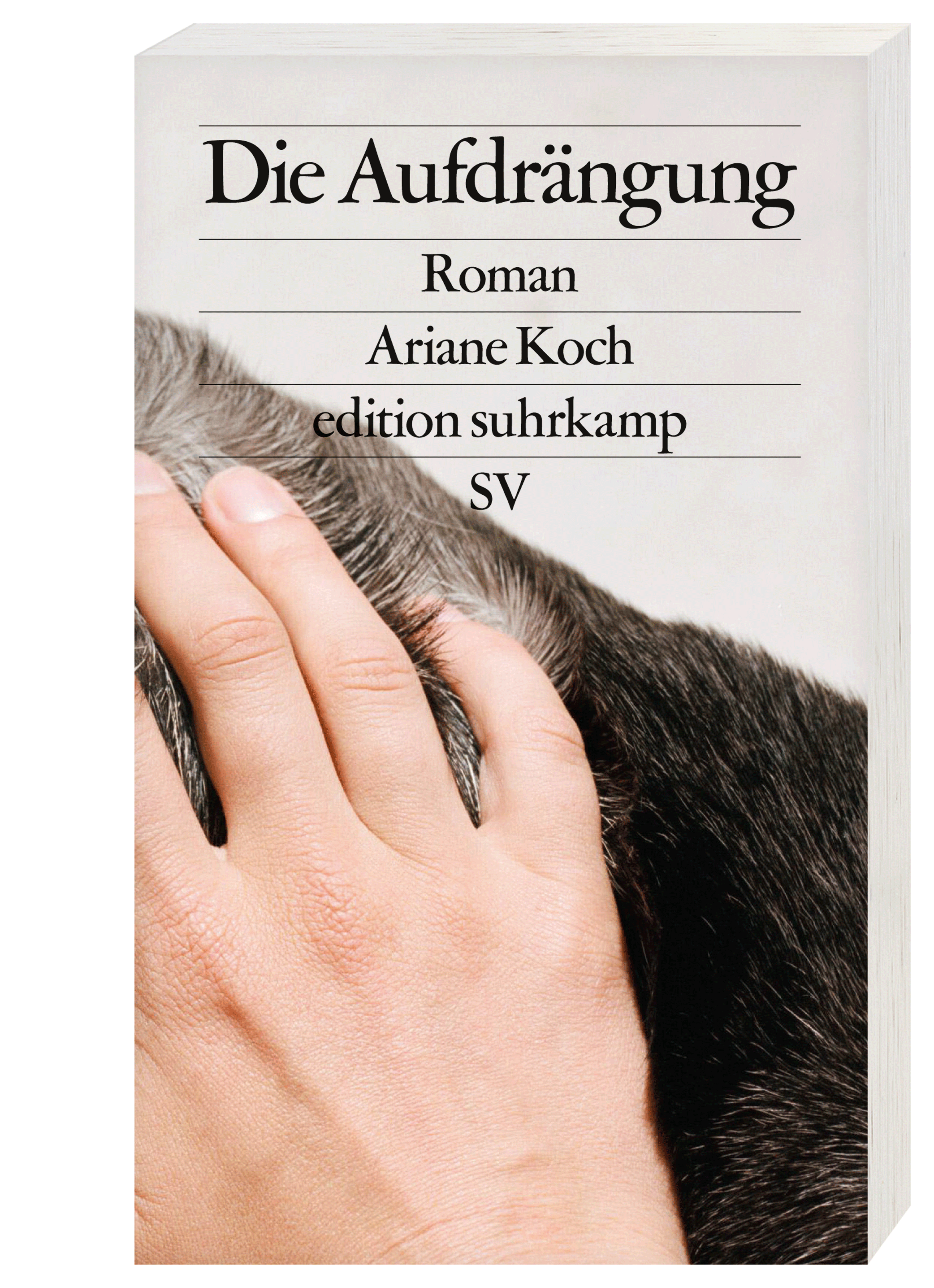 9783518127841_innenansicht_01.png