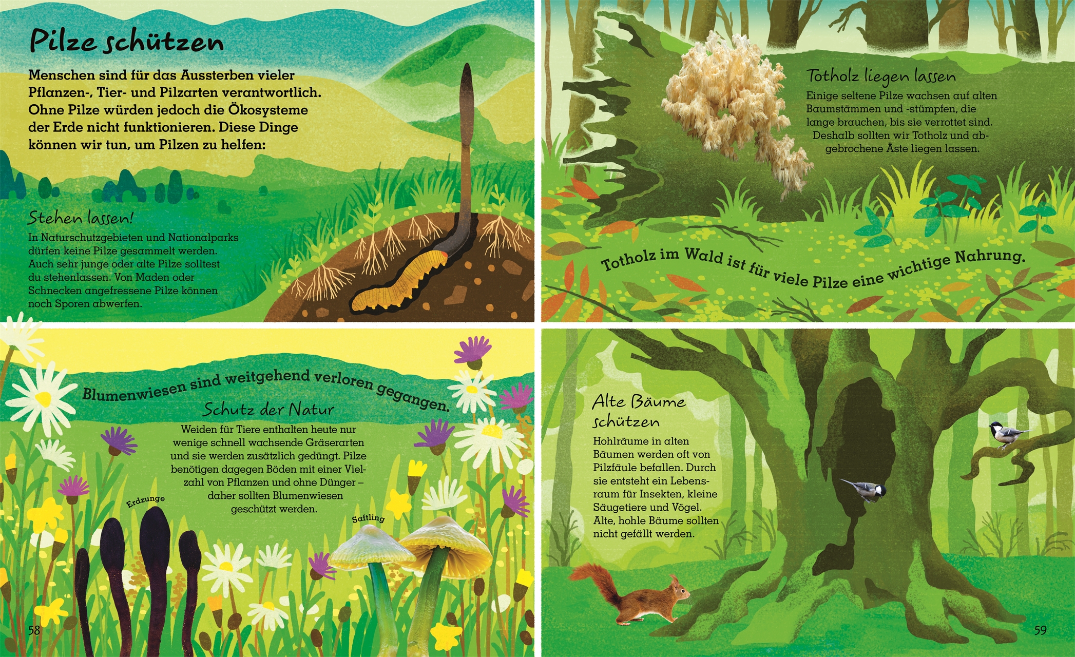 9783831044443_innenansicht_07 9783831044443_innenansicht_07.jpg