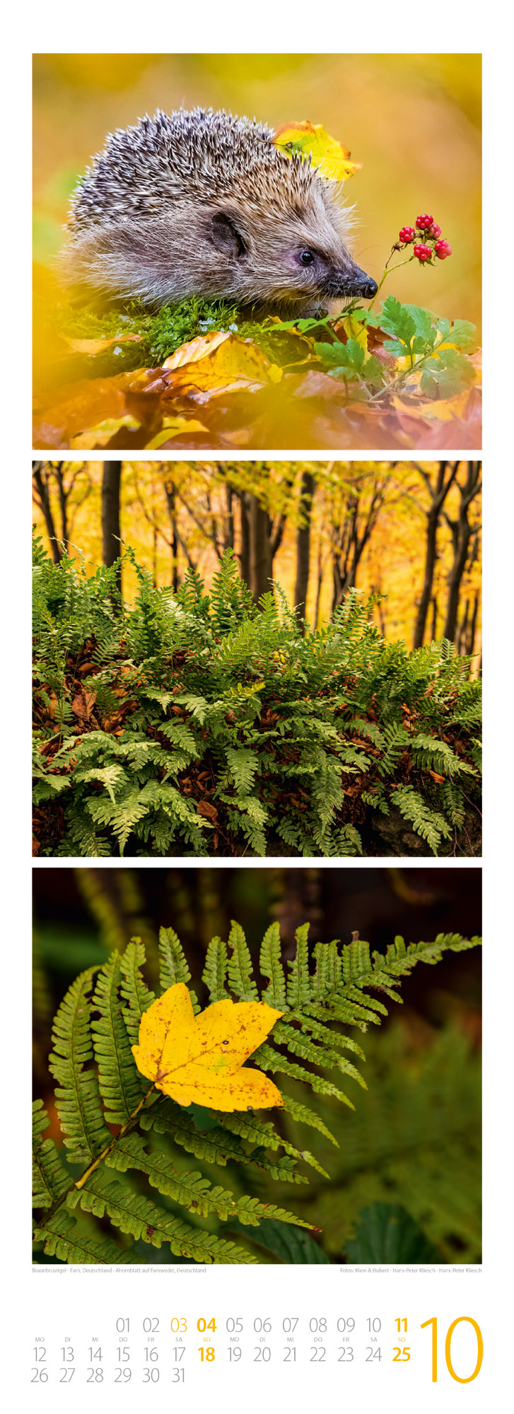 9783838426365_innenansicht_10 9783838426365_innenansicht_10.jpg