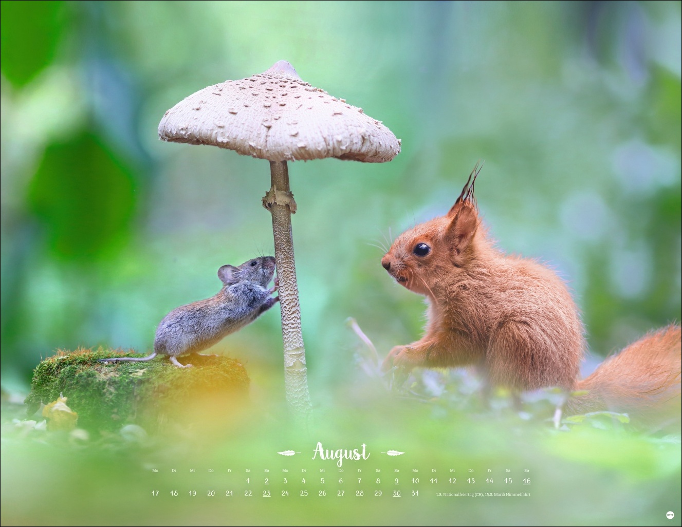 9783756411672_innenansicht_08 9783756411672_innenansicht_08.jpg